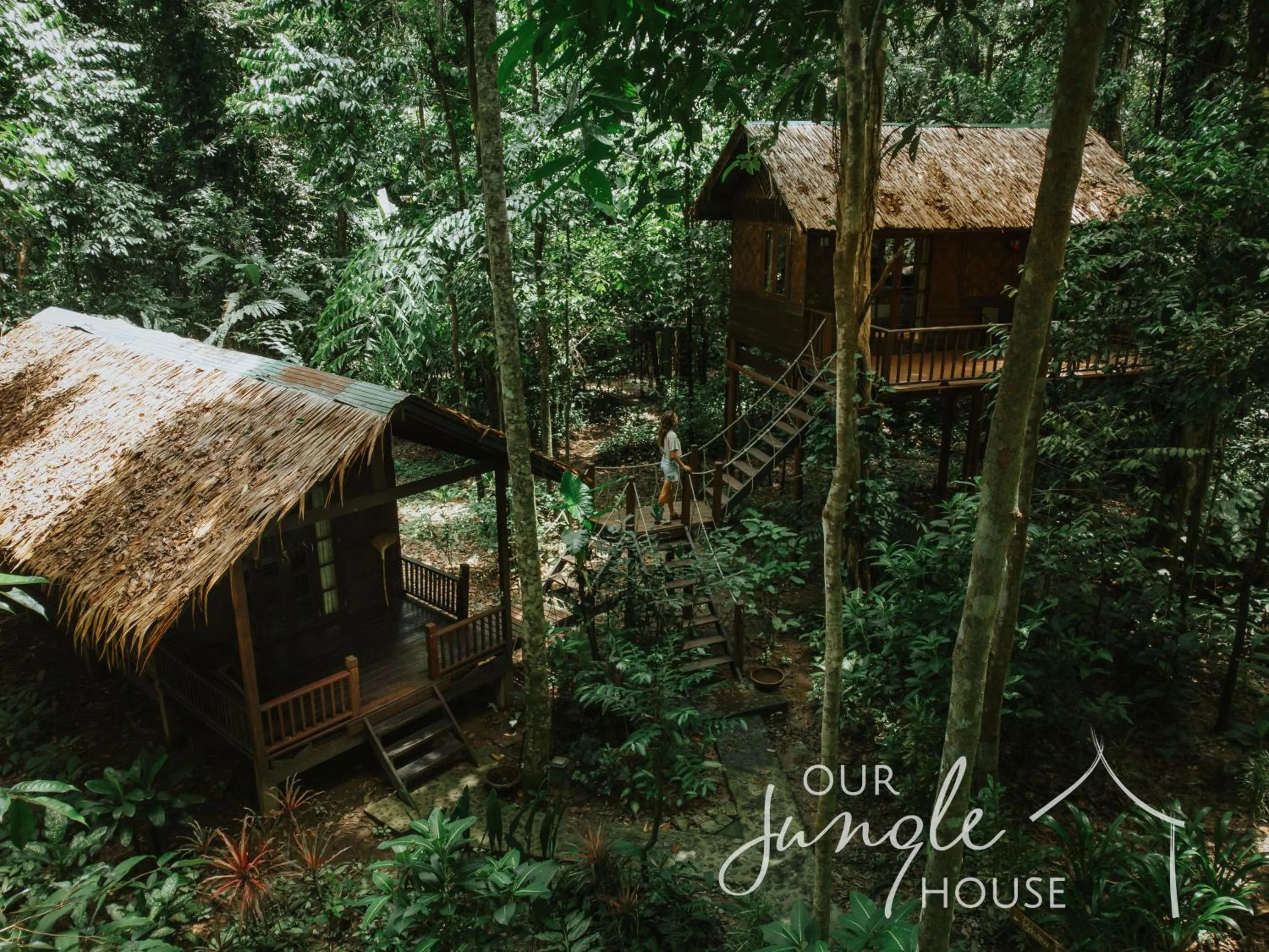 Garden view in Our Jungle House