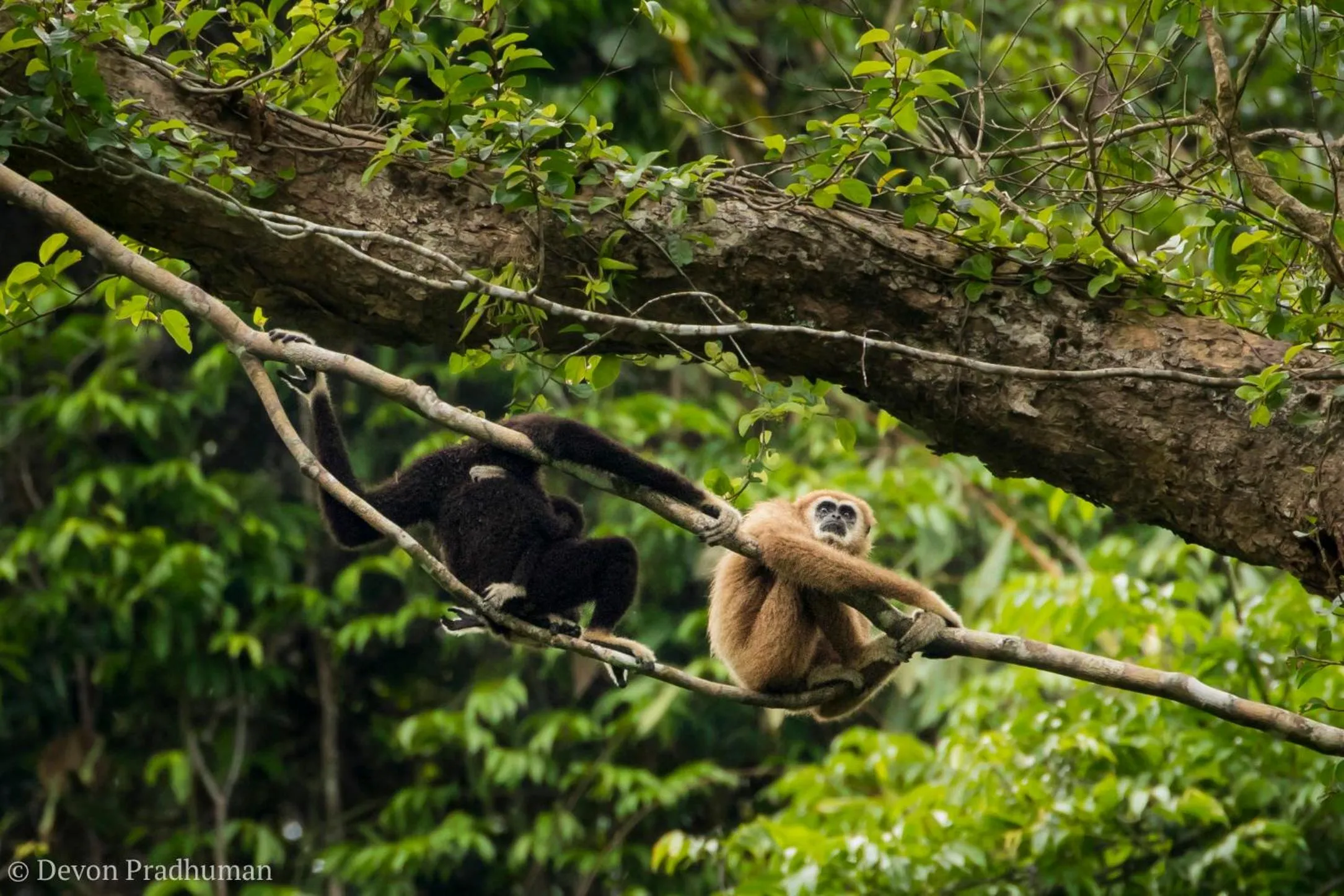 Off site in Our Jungle House
