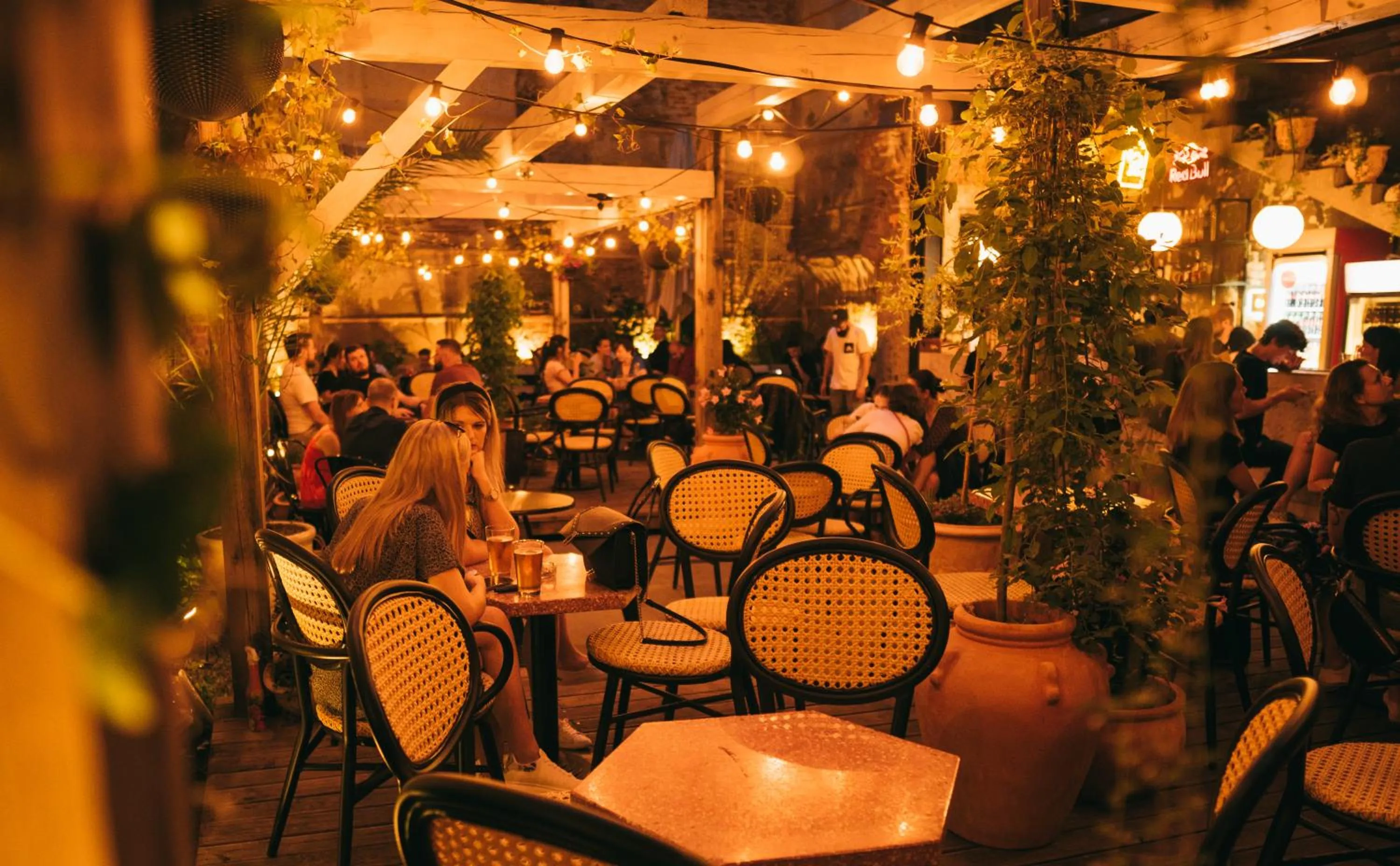 Garden in Draggo House Rooms - Old Town