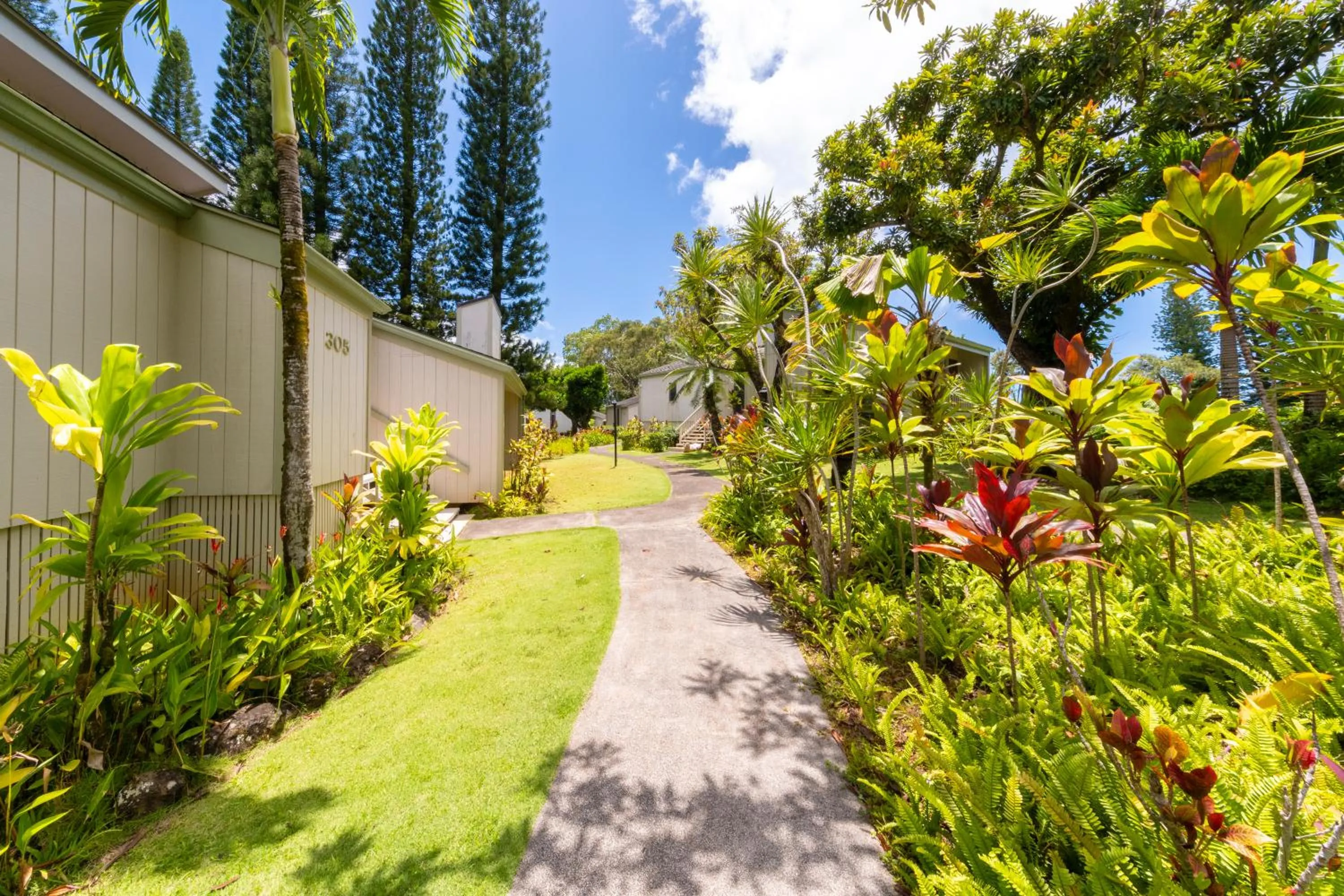 Natural landscape in Makai Club Resort