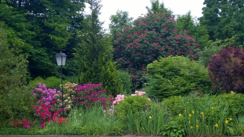 Property building in Hotel Meyer