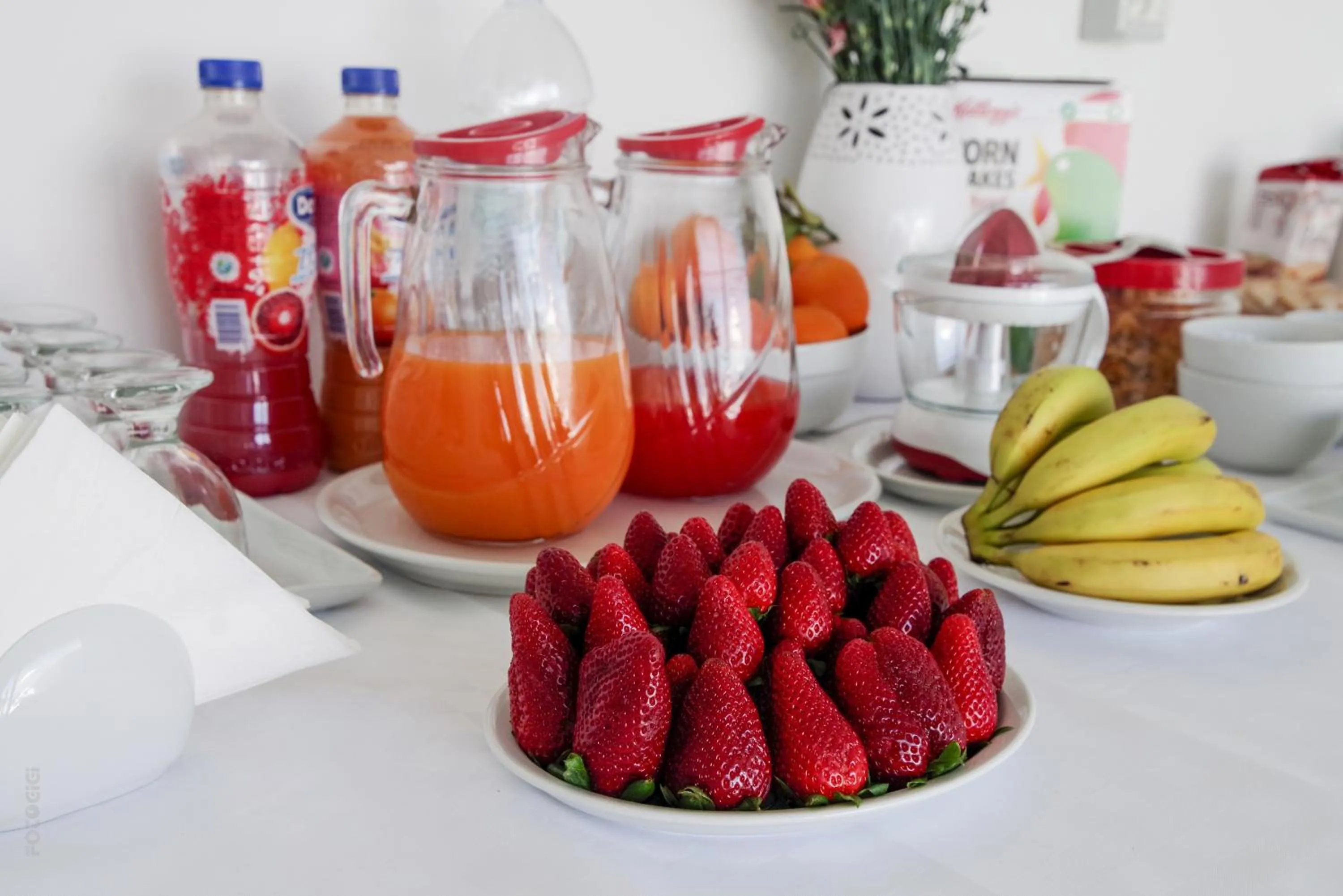 Food close-up in La Fenice Salentina