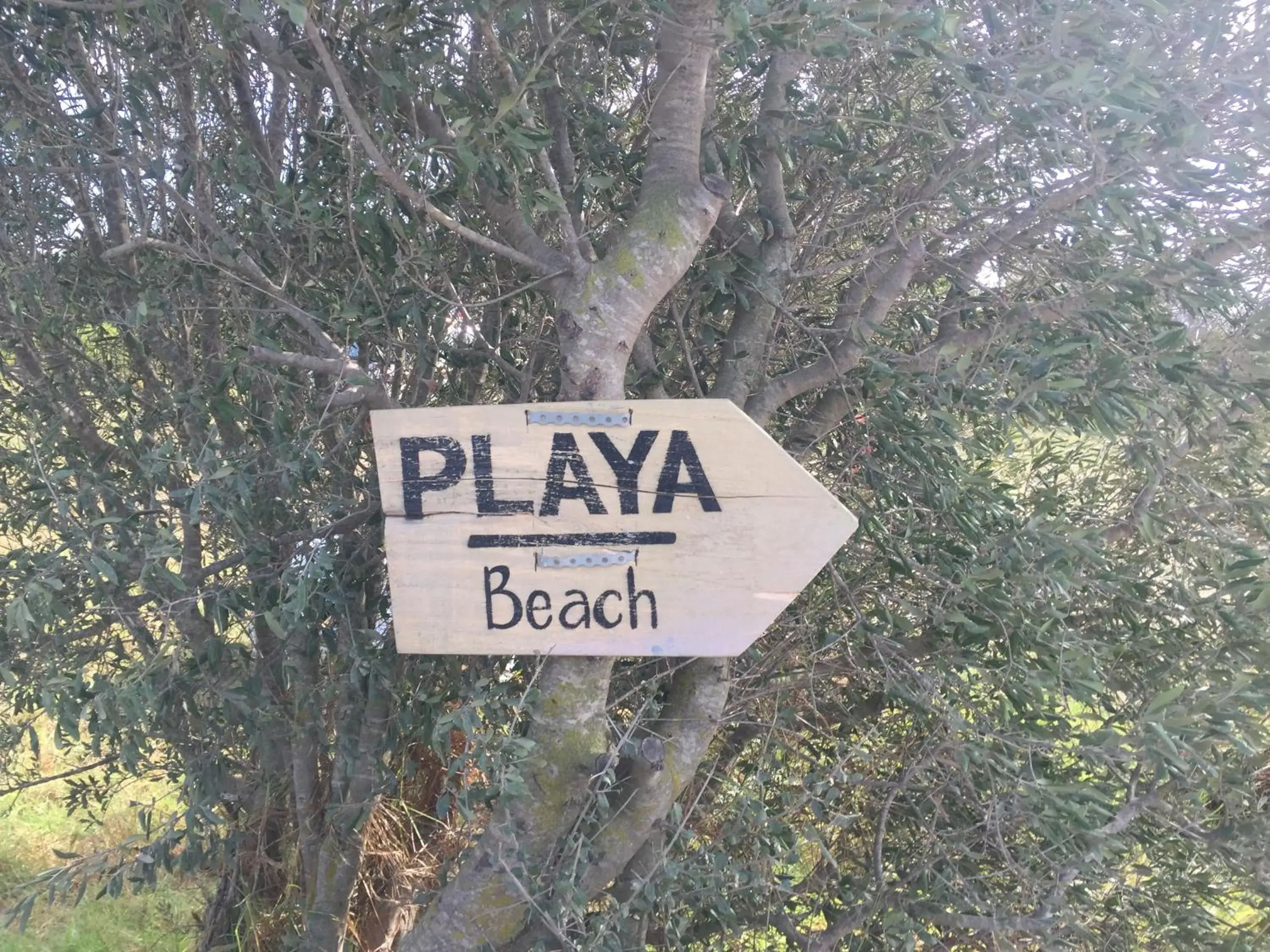Bungalows Tangana Bungalows Tangana