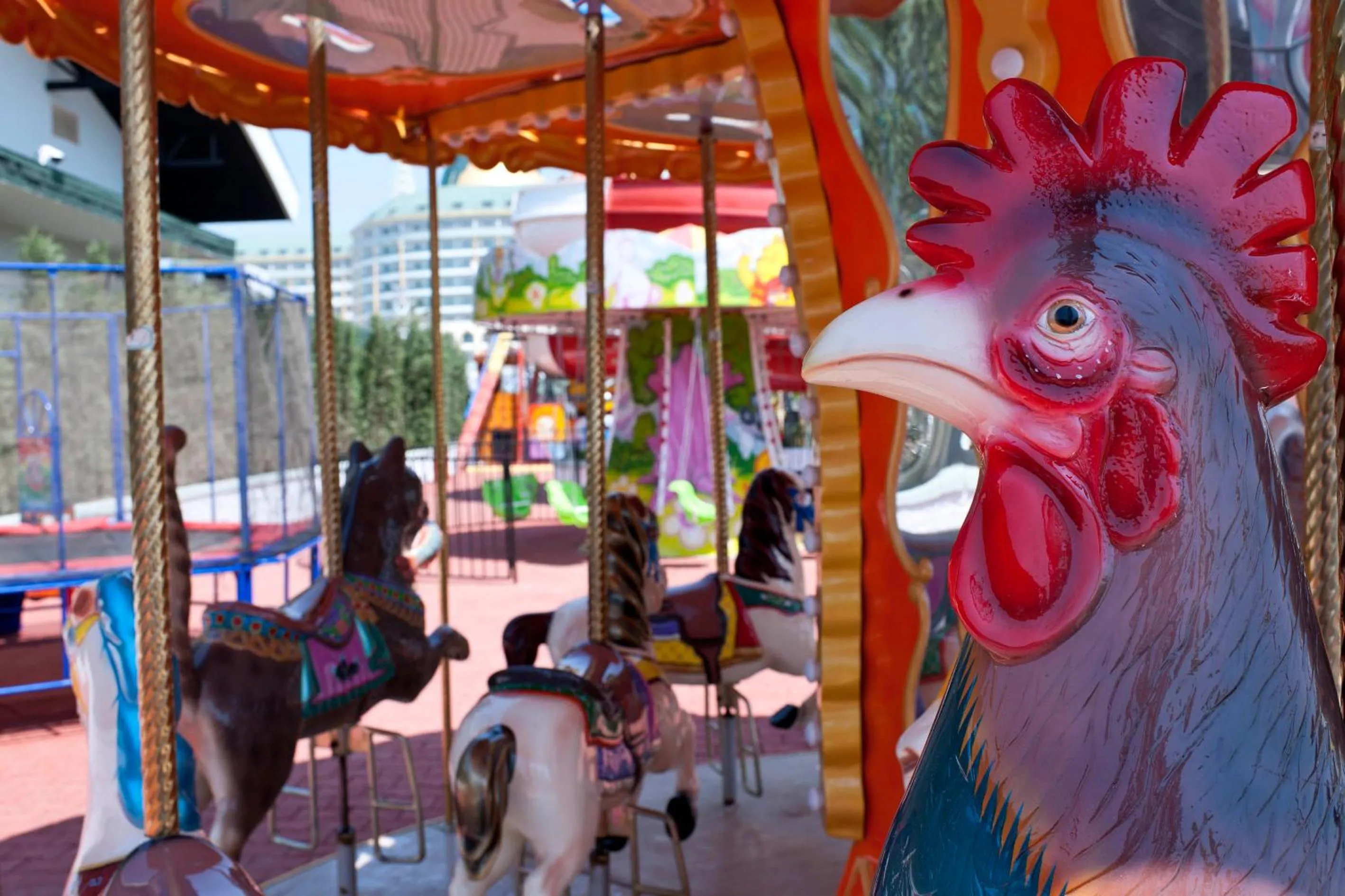 Swimming pool in Delphin Imperial Lara