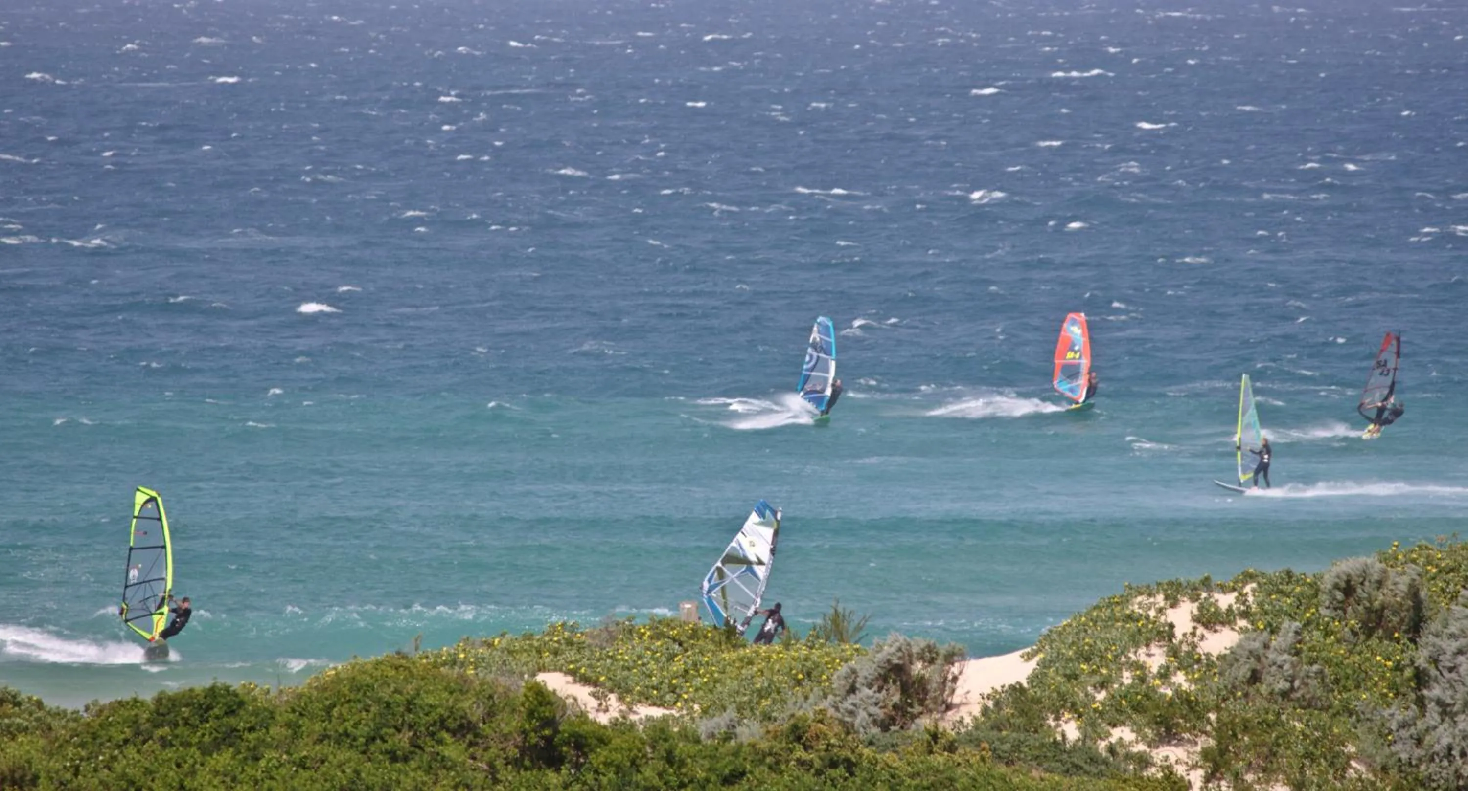 Windsurfing in Cape St Francis Resort