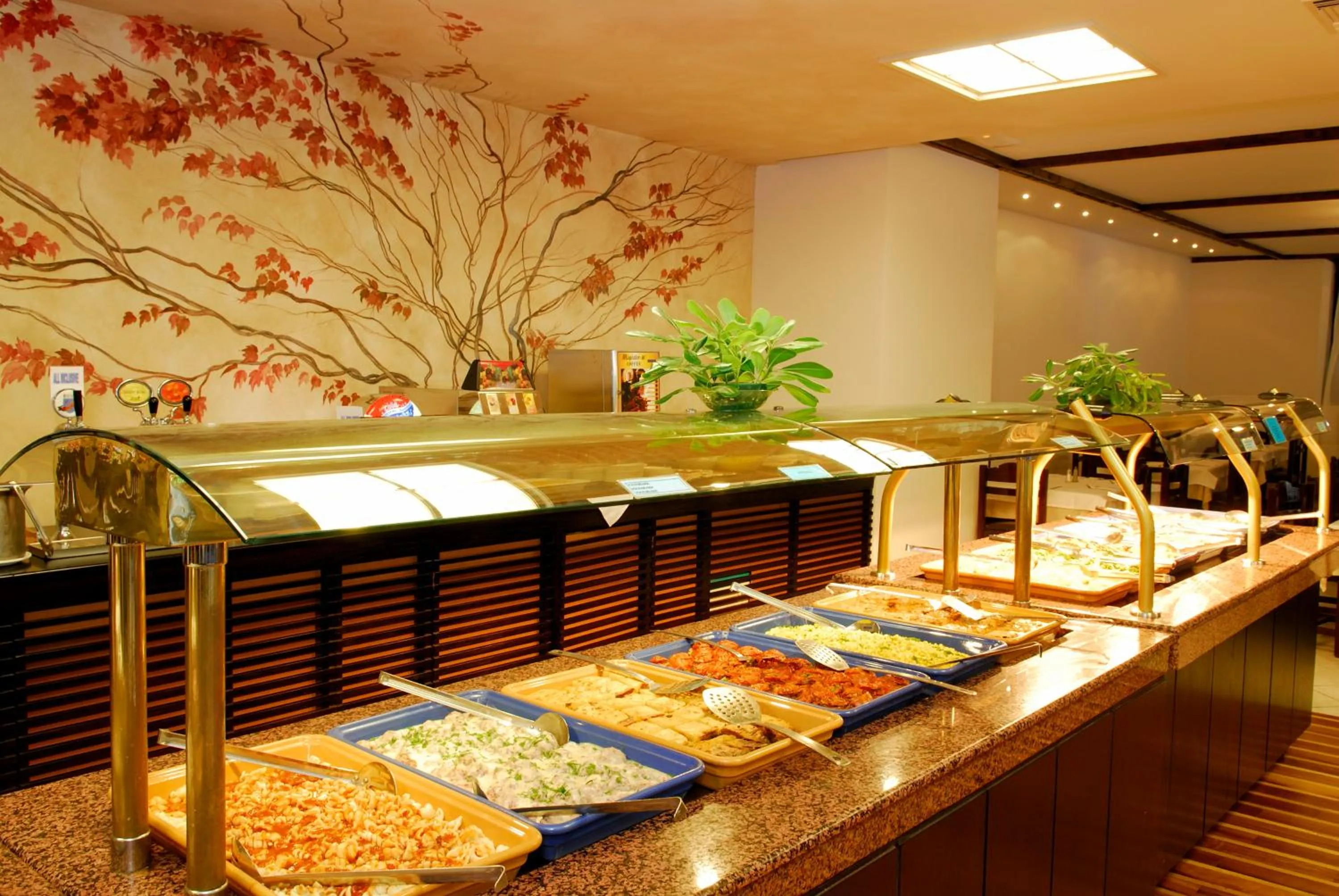 Meals in Apollonia Beach Resort & Spa