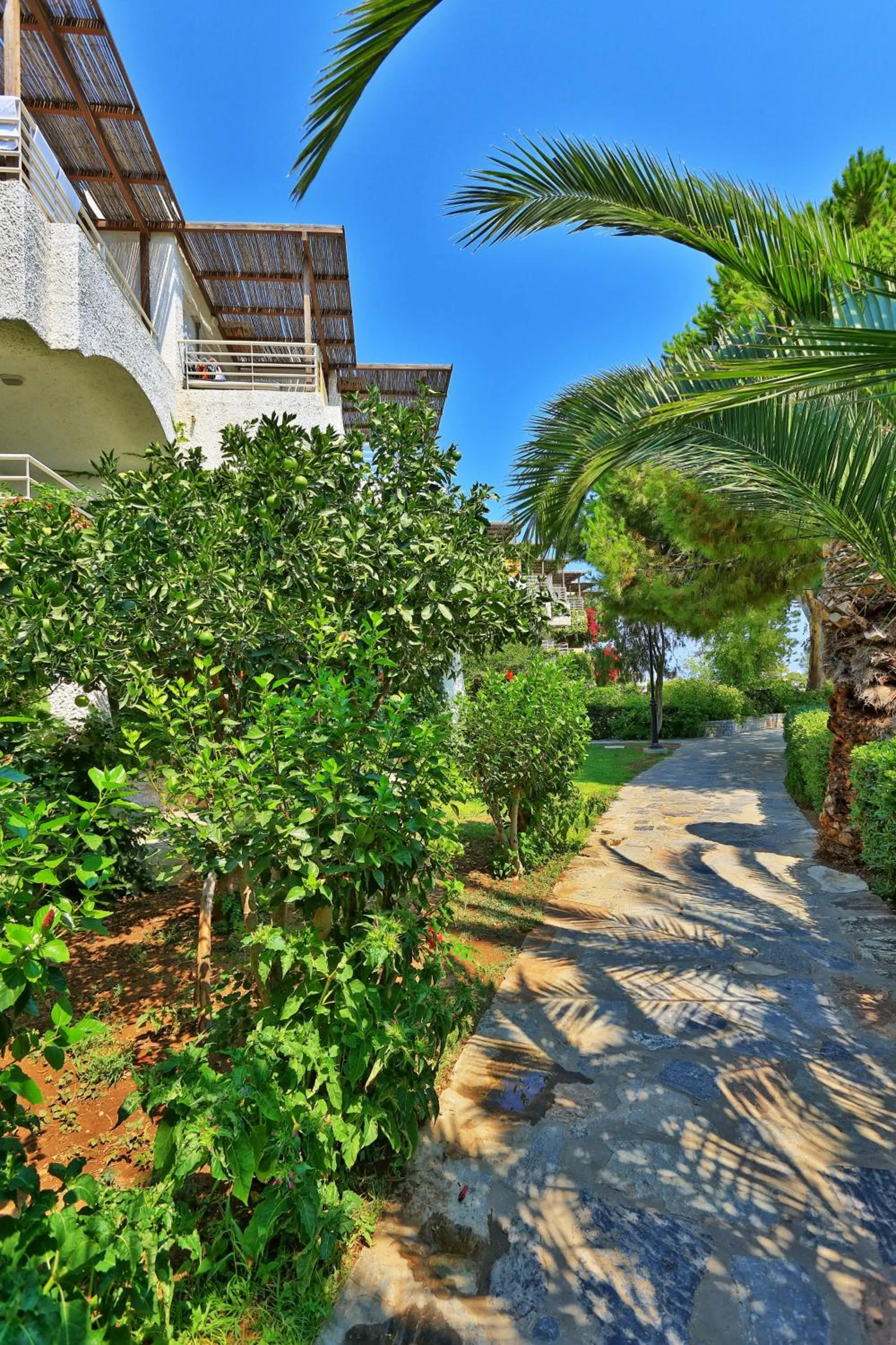 Garden in Apollonia Beach Resort & Spa