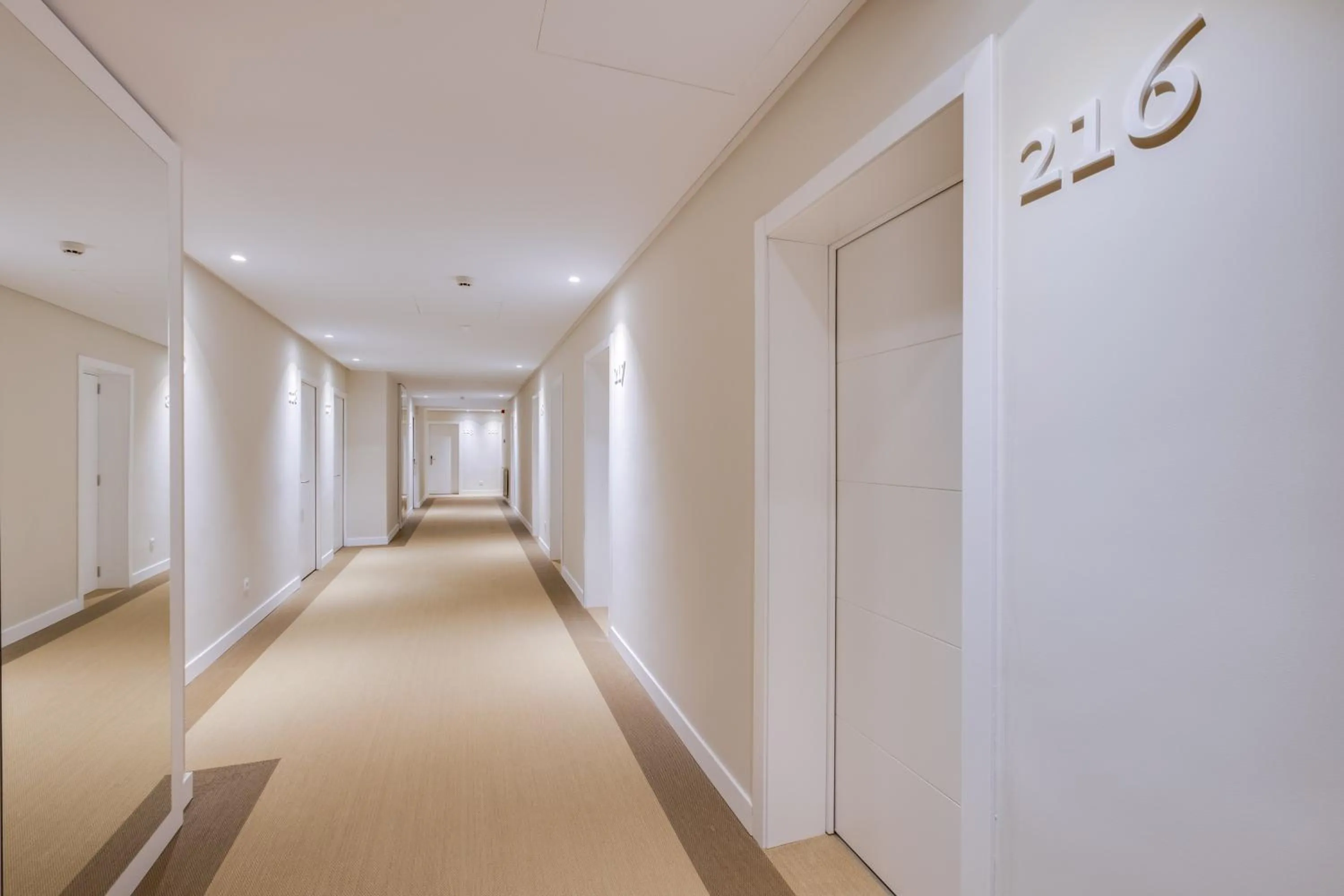 Area and facilities in Hotel Eden Soller