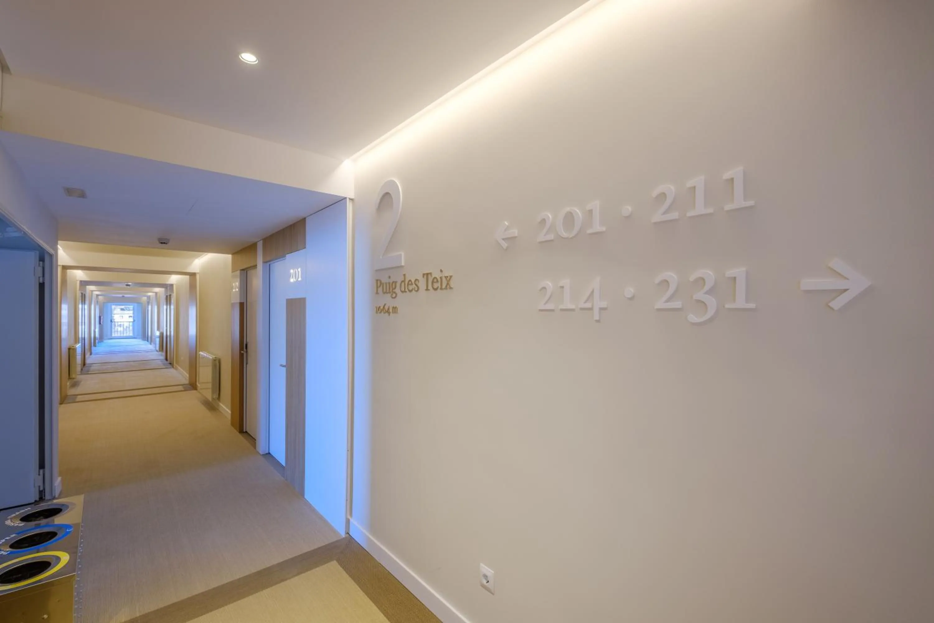 Area and facilities in Hotel Eden Soller