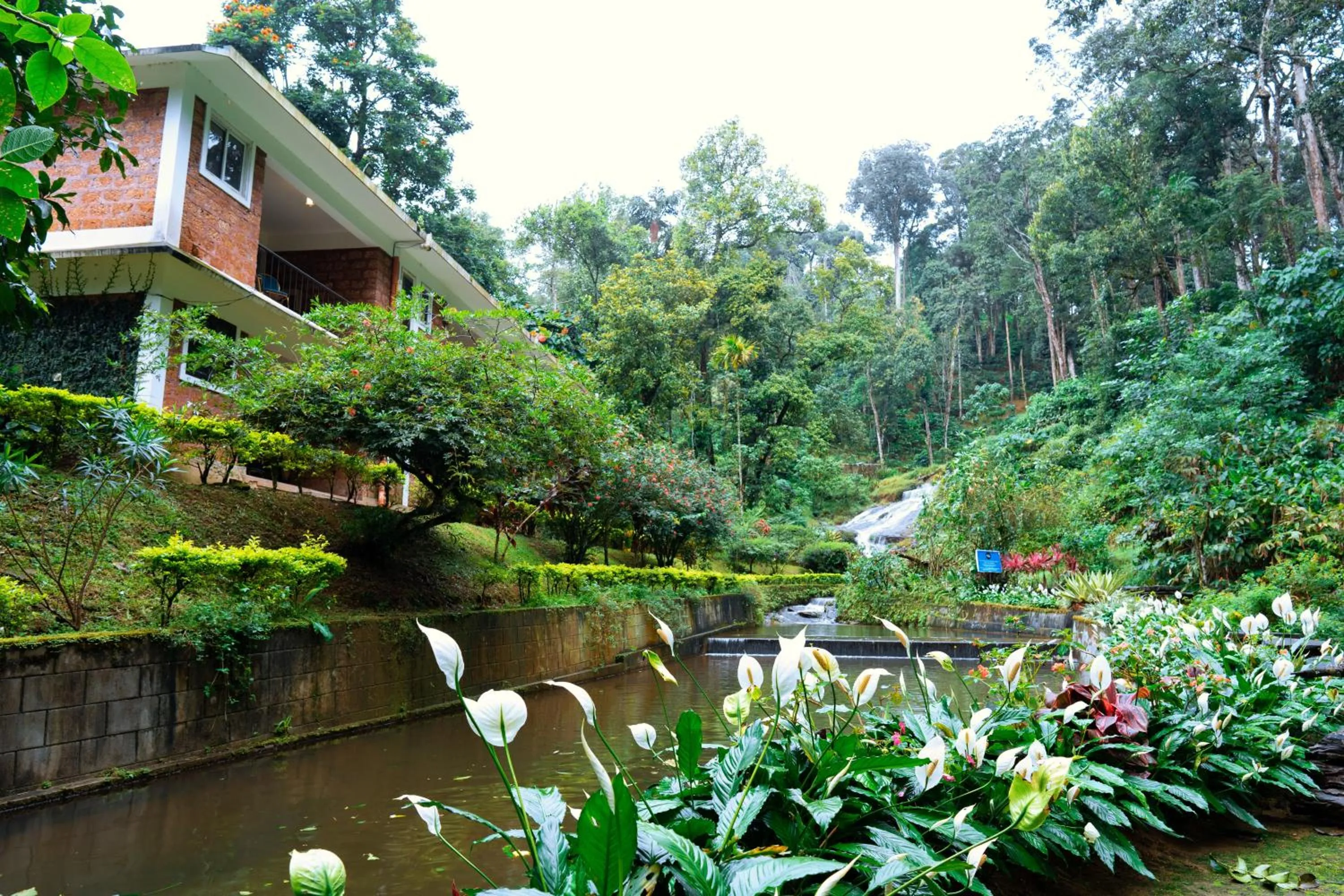 Spring in Falling Waters Munnar