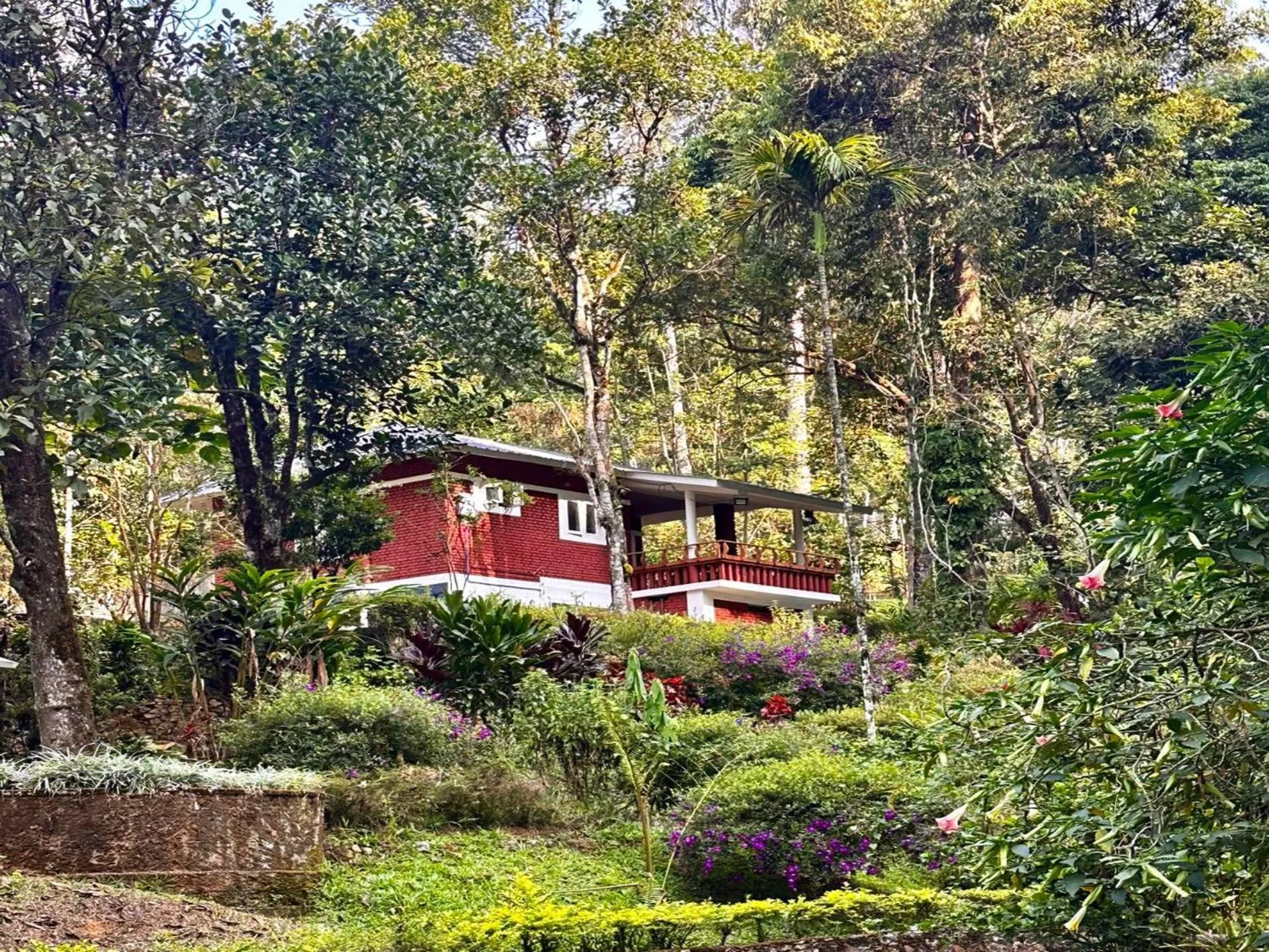 Property building in Falling Waters Munnar