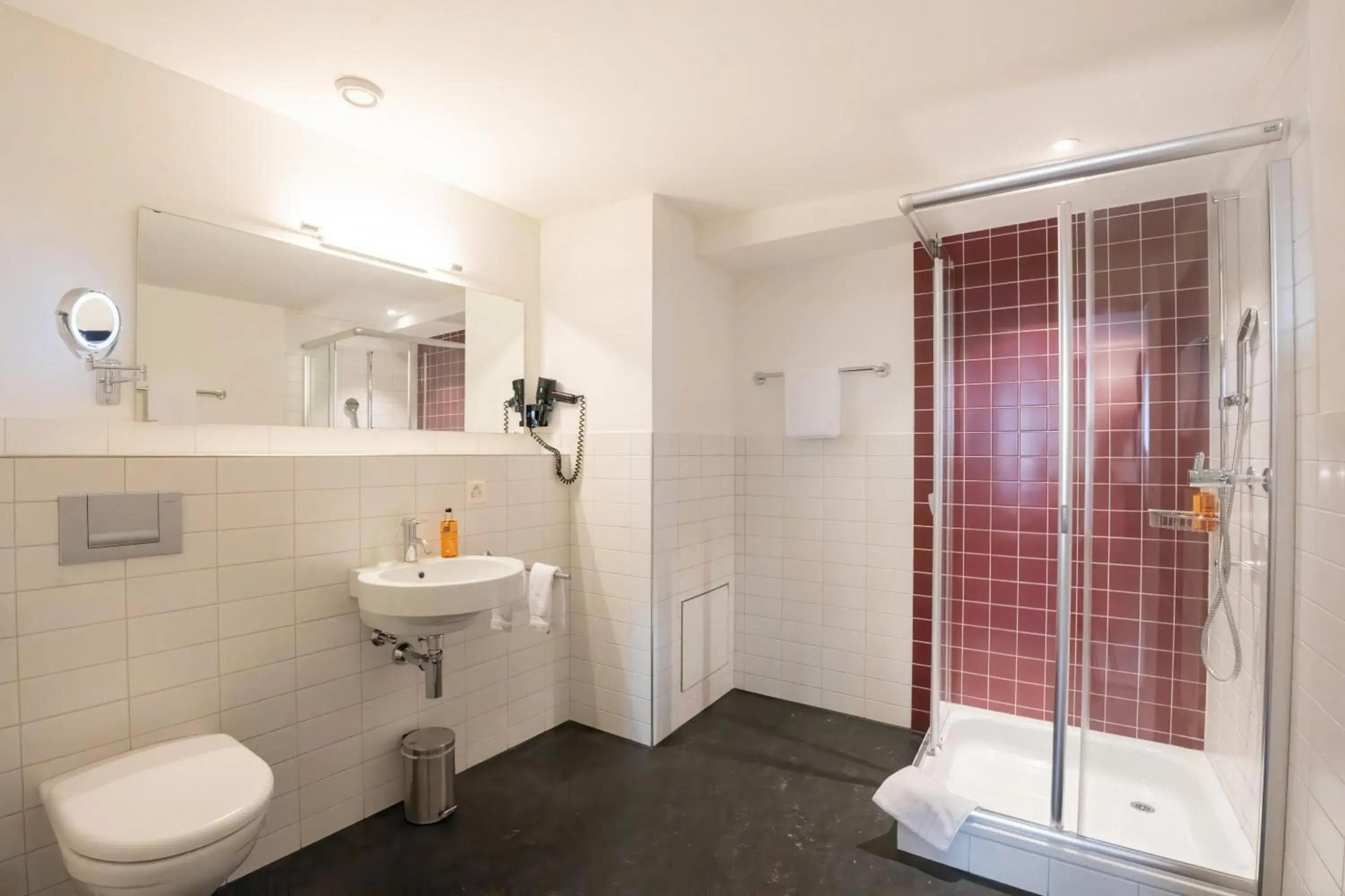 Comfort Double Room with Veranda - single occupancy in Hotel Le Lion - Self Check-in Comfort Double Room with Veranda - single occupancy in Hotel Le Lion - Self Check-in