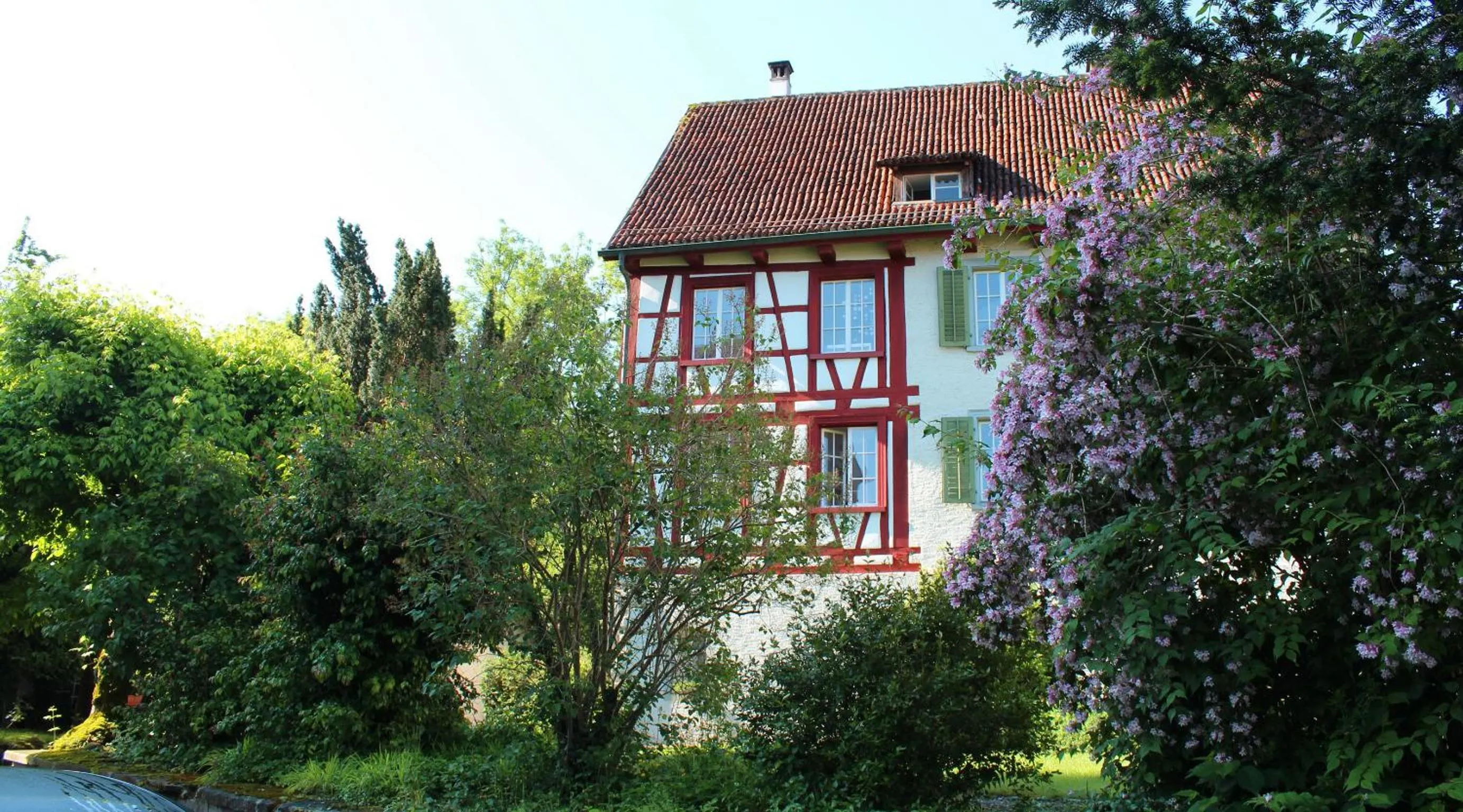 Neighbourhood in Hotel Le Lion - Self Check-in