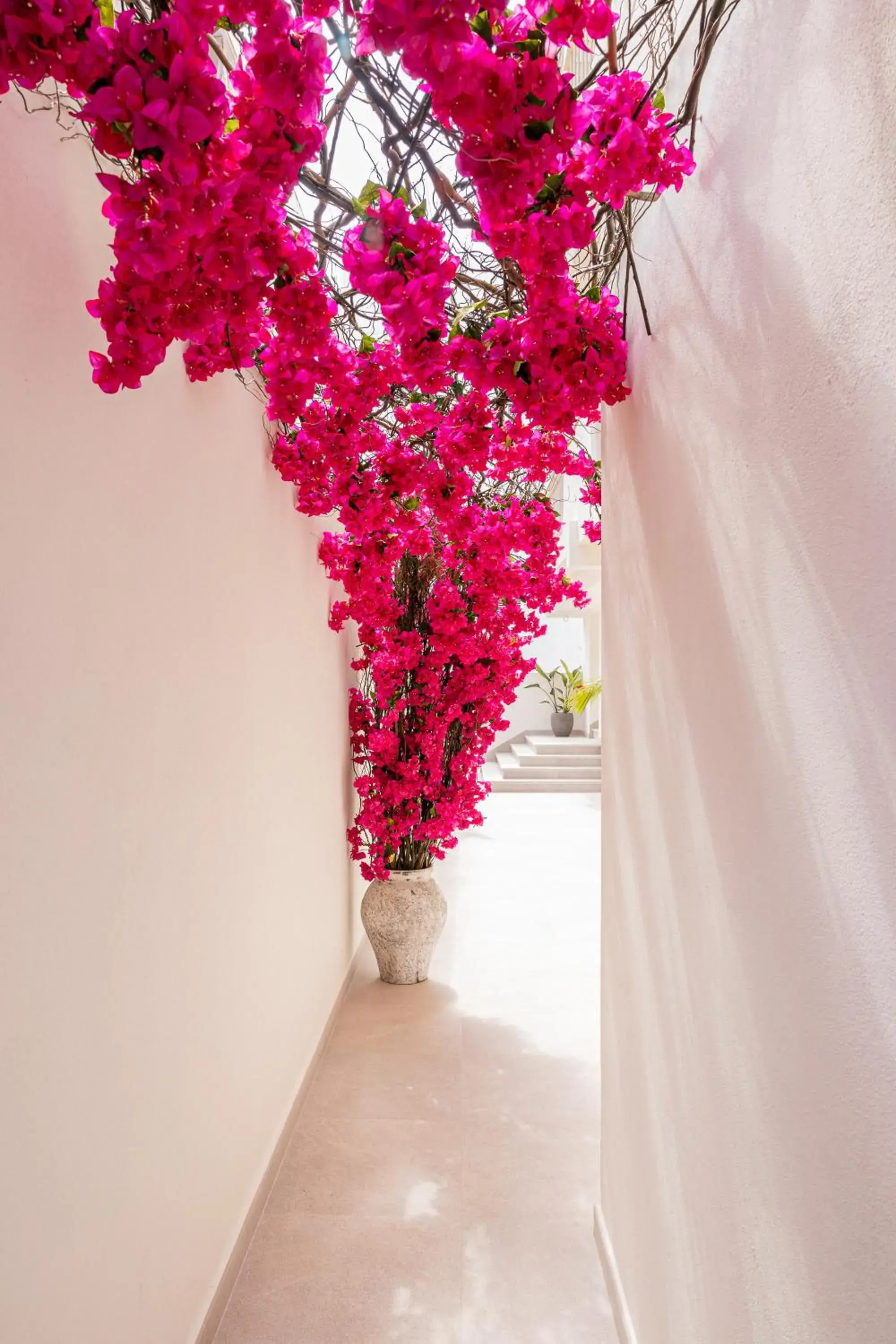 Malacosta A - MC Apartments Ibiza Malacosta A - MC Apartments Ibiza