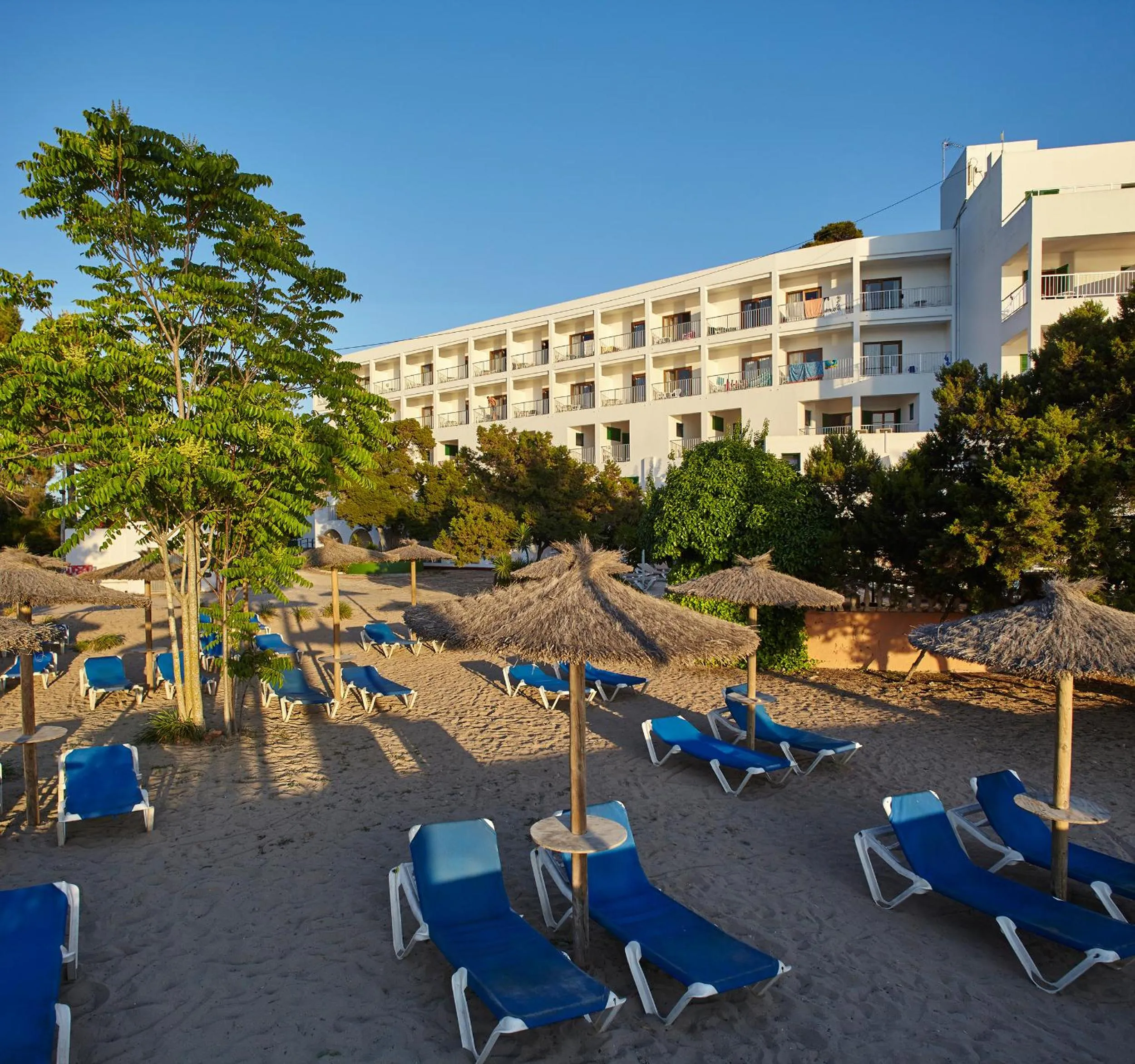 Beach in Hotel Ses Savines