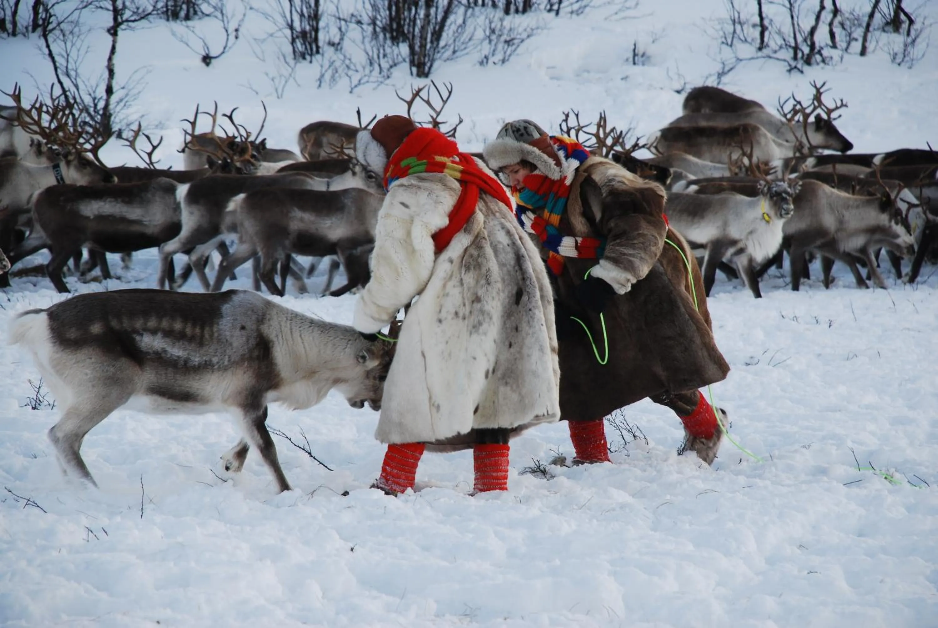 Winter in Lakselv Hotel