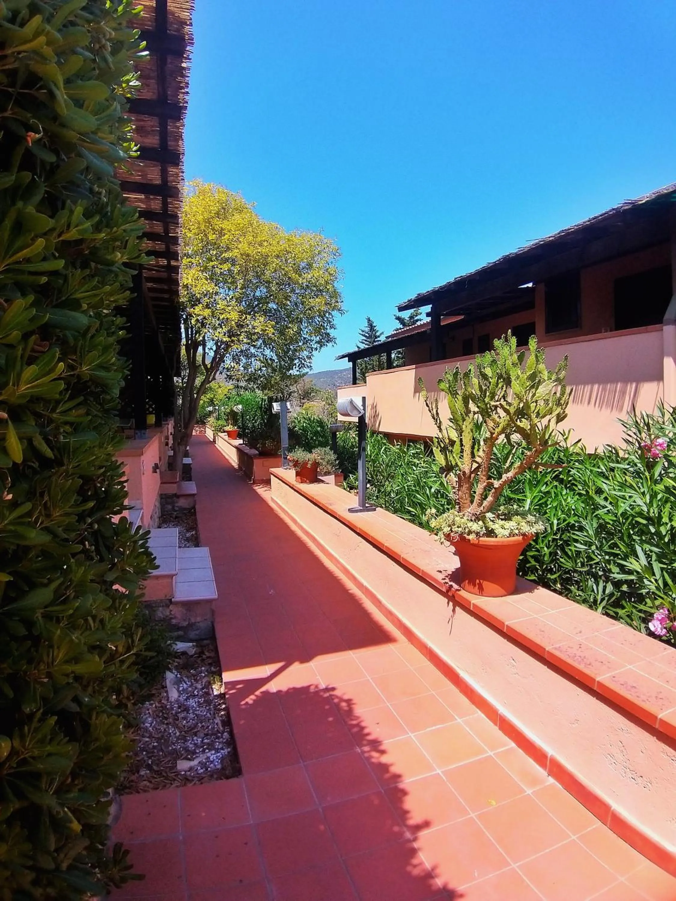 Neighbourhood in Al Barcoco