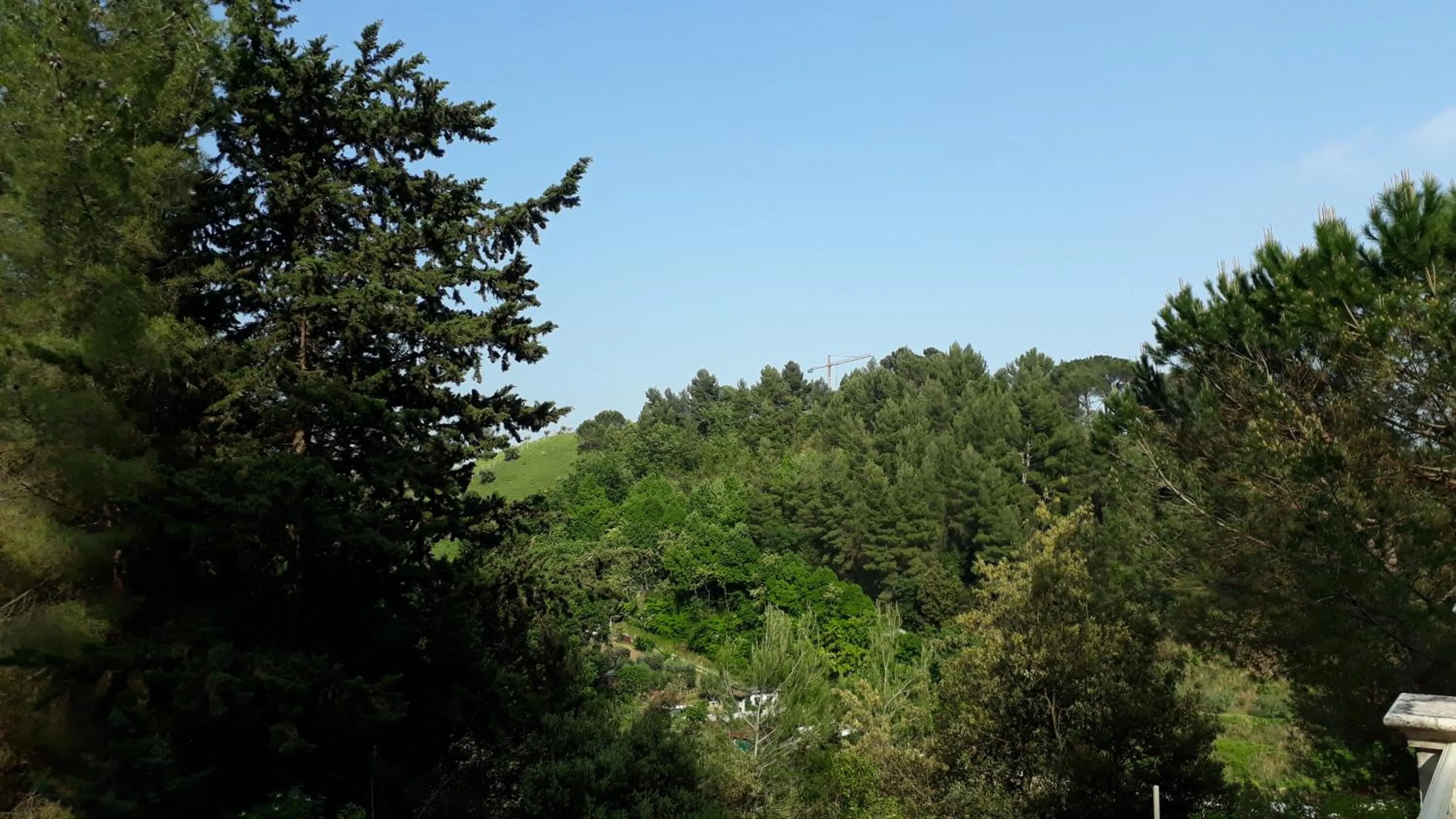 Natural landscape in Parco dei Gelsomini