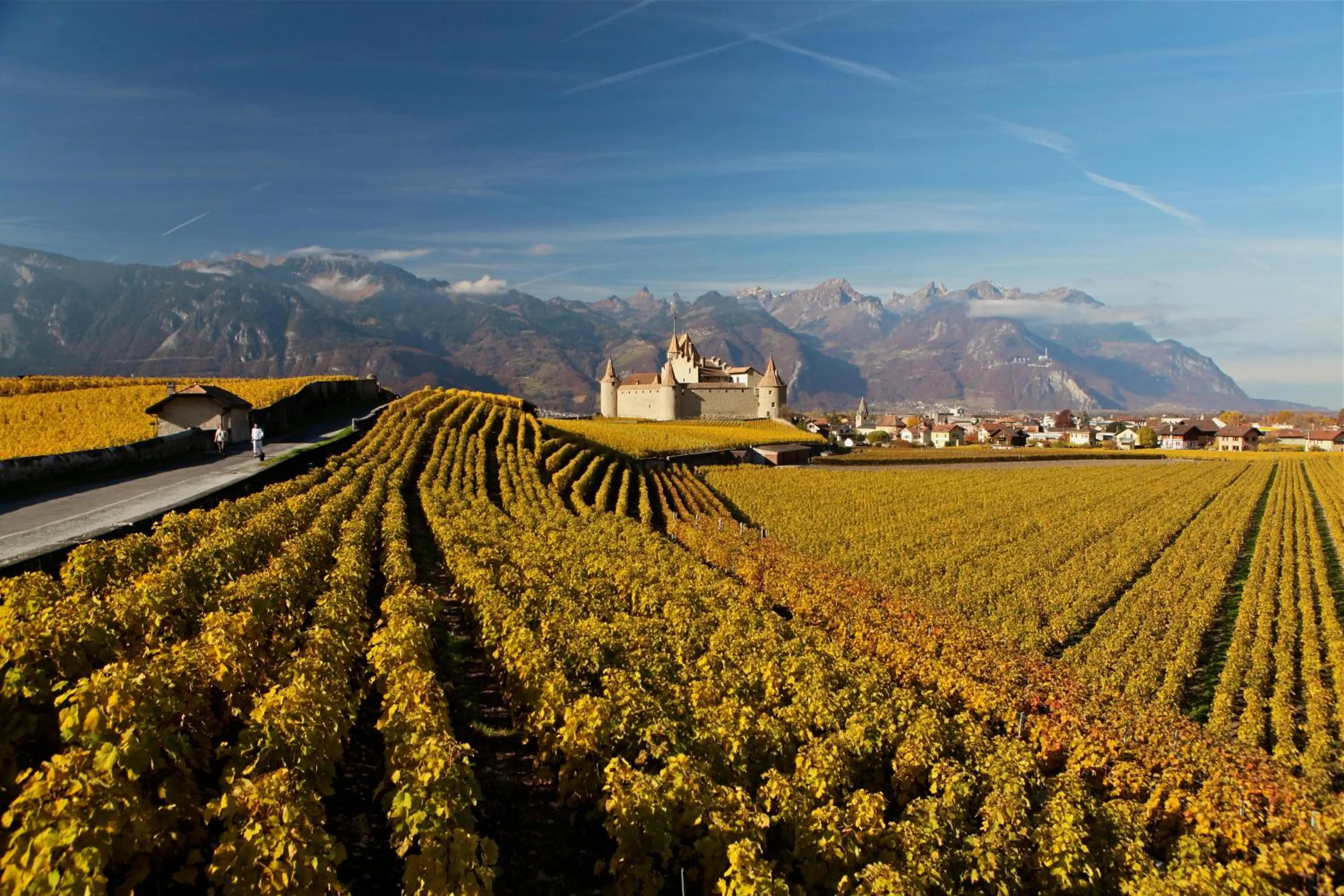 Neighbourhood in Auberge Communale de la Couronne