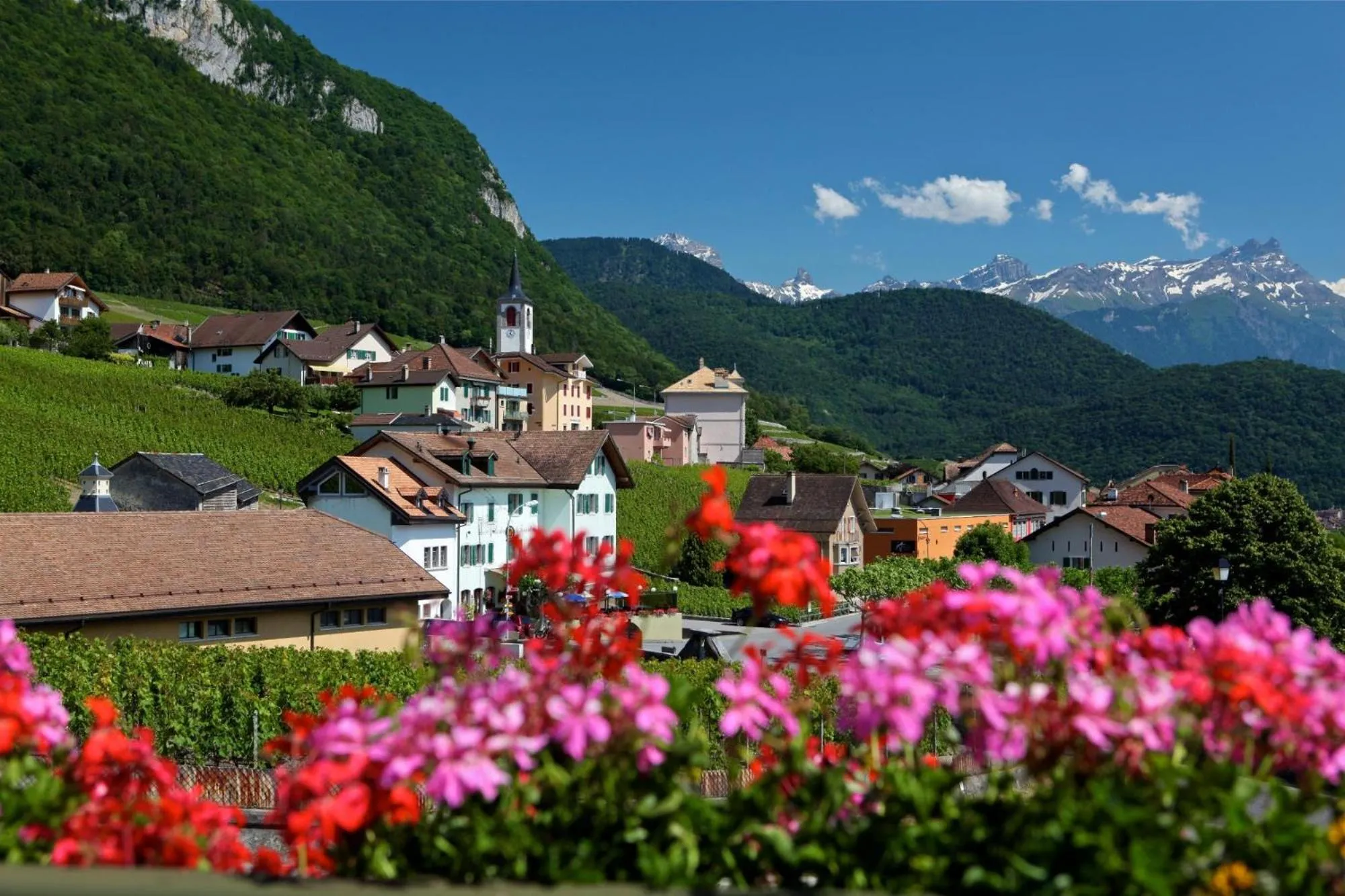 Natural landscape in Auberge Communale de la Couronne