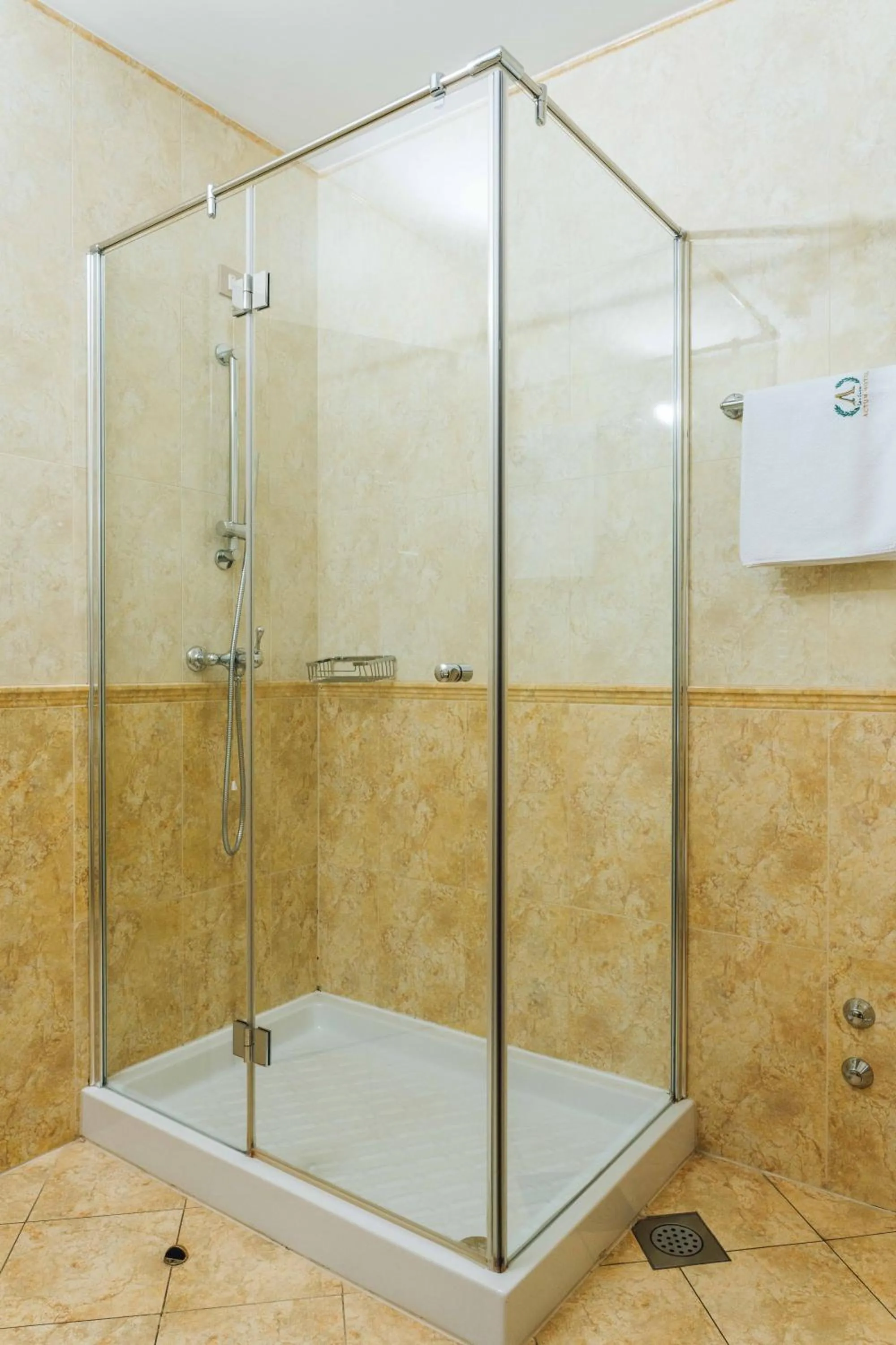 Shower in Hotel Actum