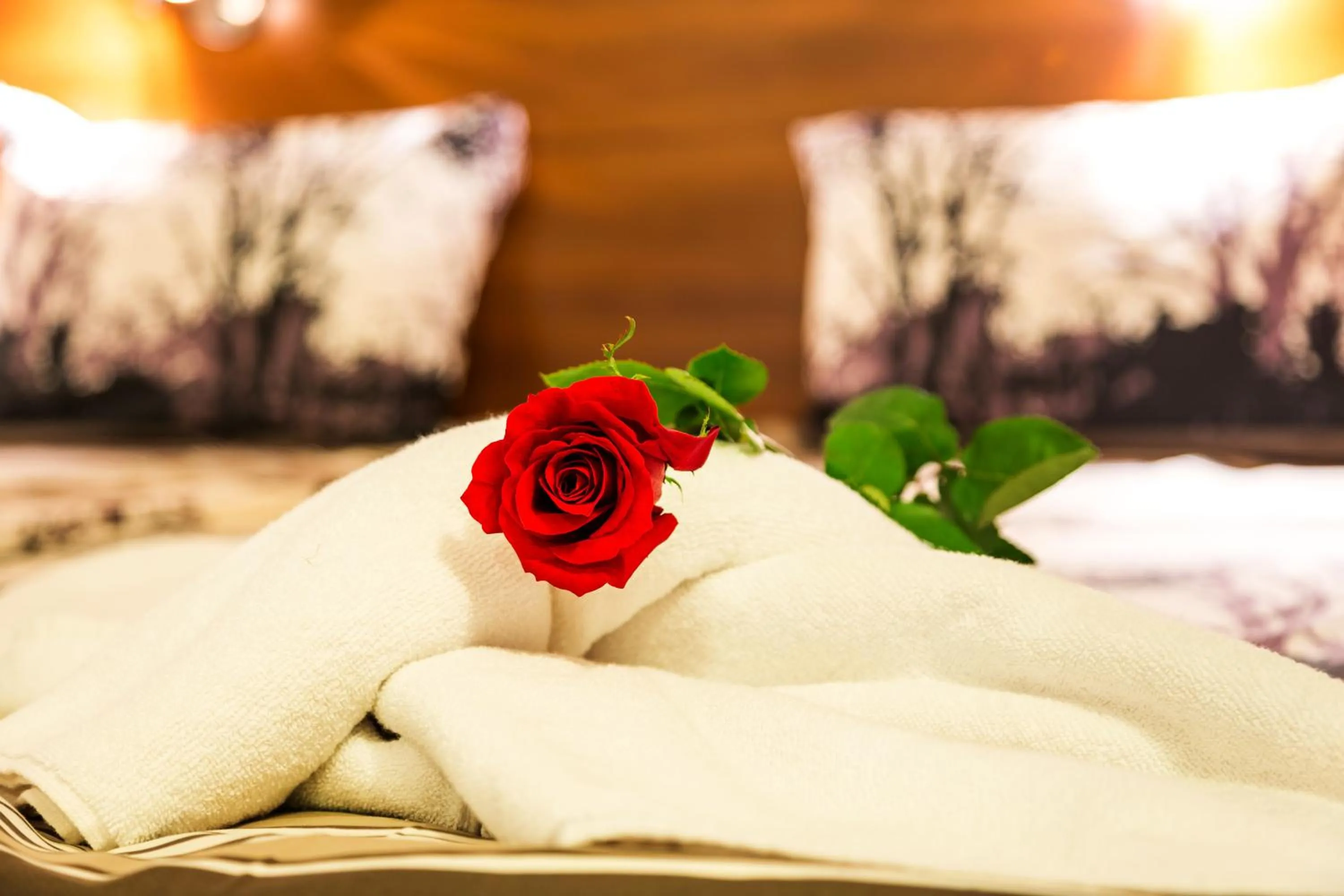 Bed in Family Hotel Romantika