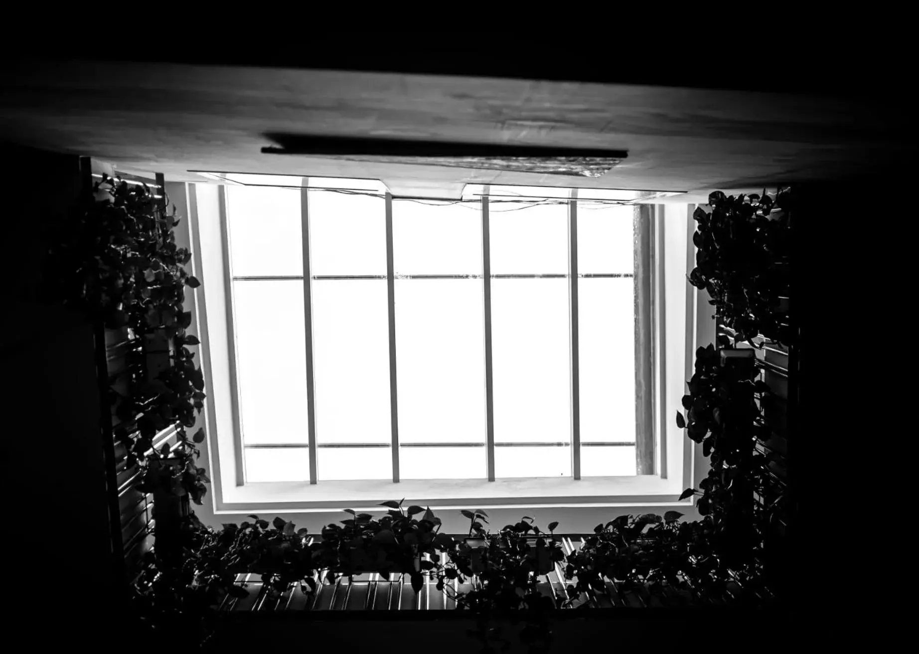 Property building in Hotel Palacio Alcázar Property building in Hotel Palacio Alcázar