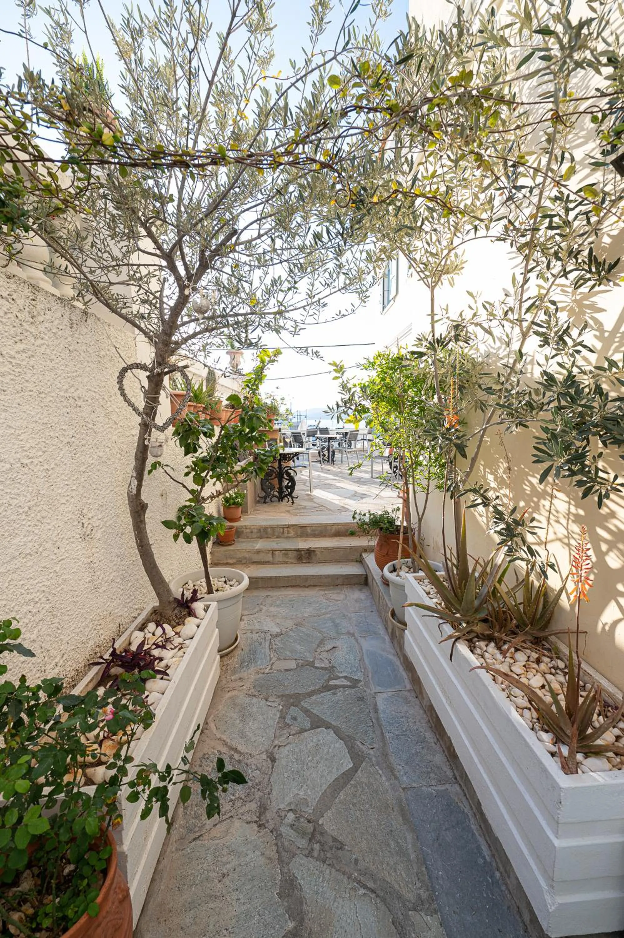 Balcony/Terrace in Dionysos Hotel