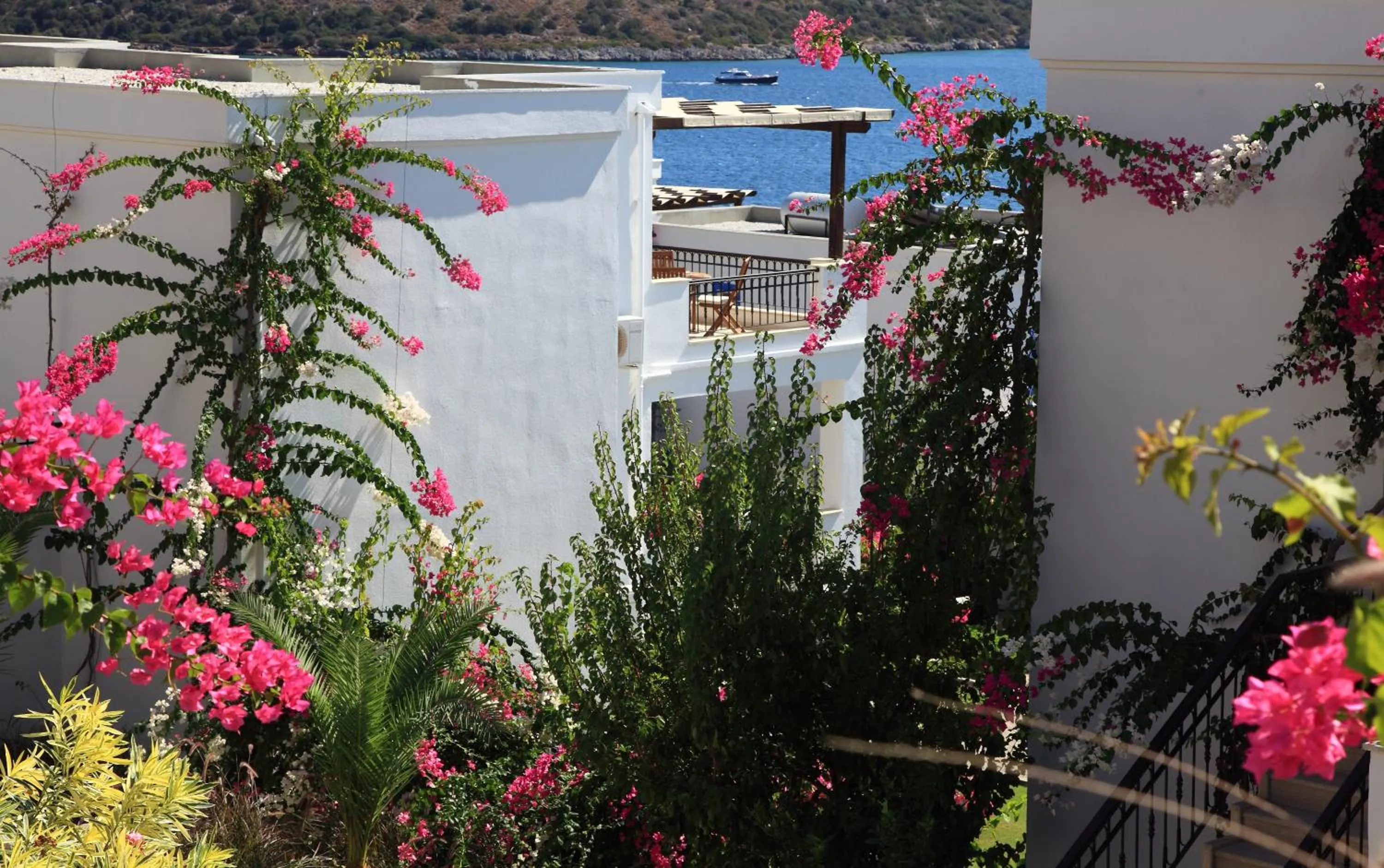 Patio in Aktur Residence