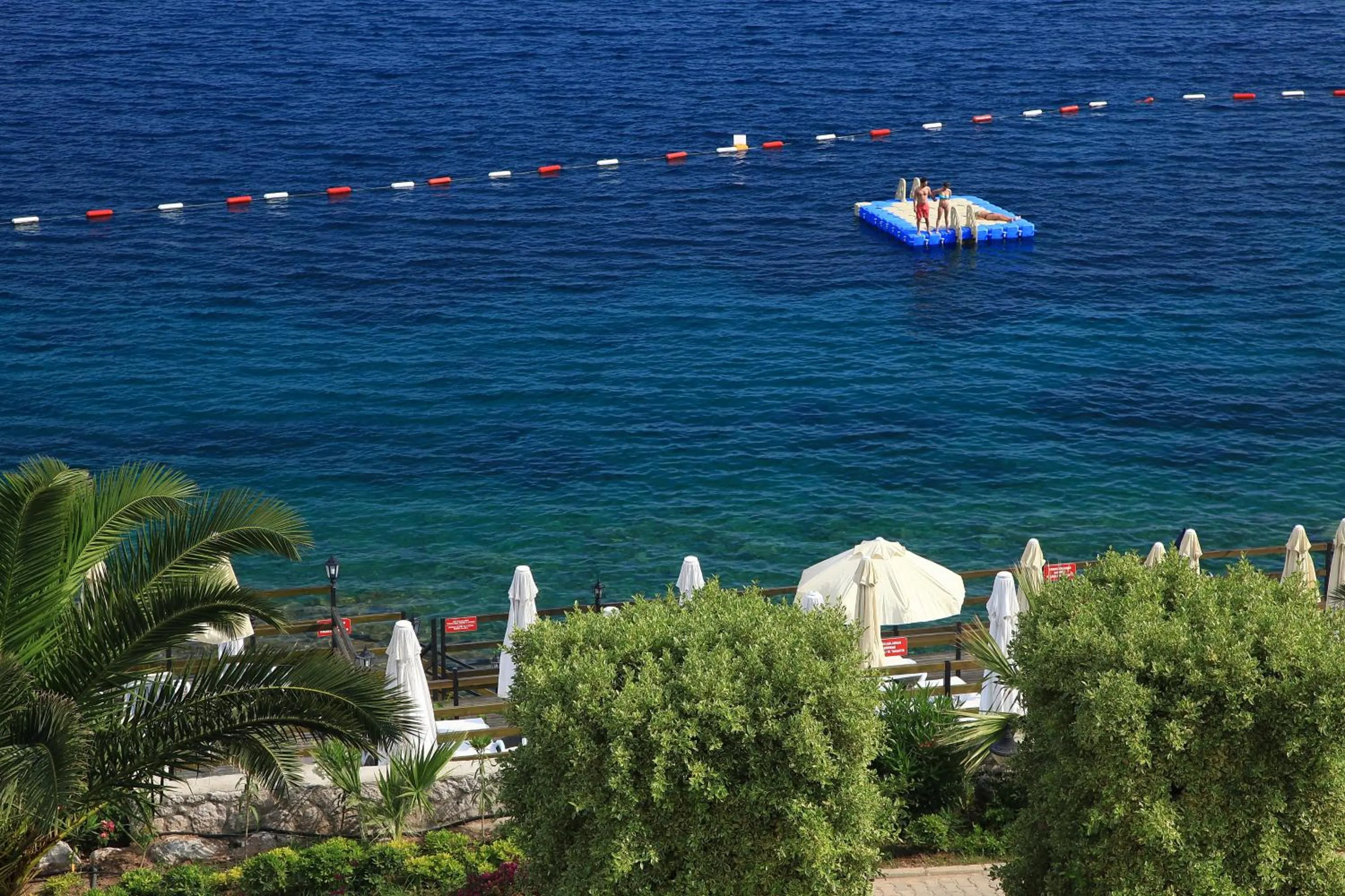 Day in Aktur Residence