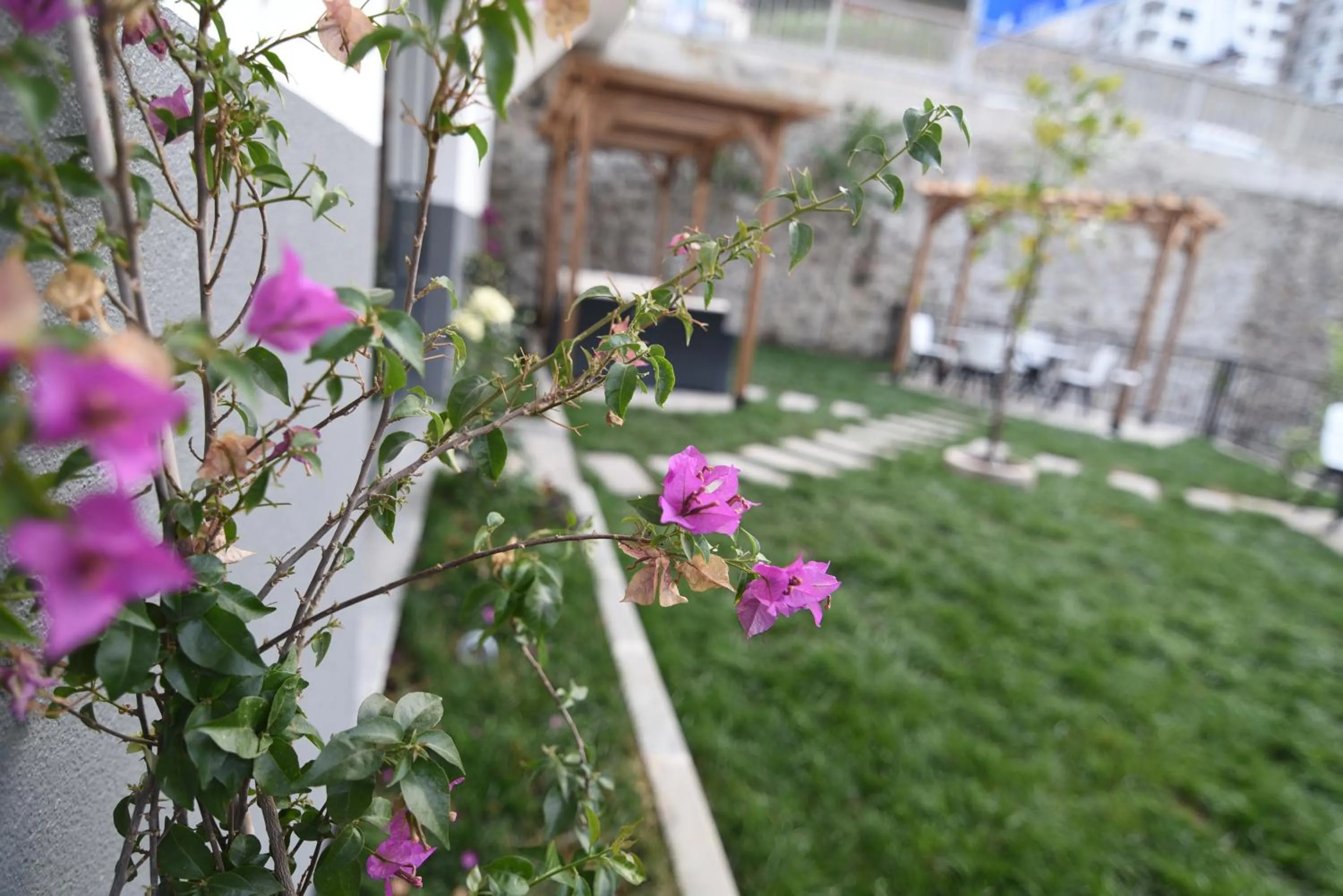 Garden in Sera Nature Hotel & Spa