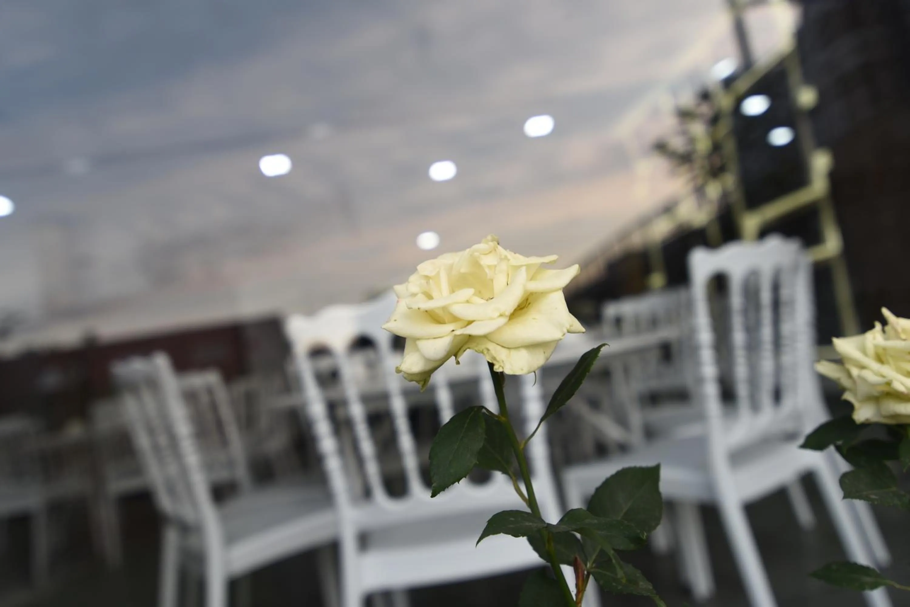 Restaurant/places to eat in Sera Nature Hotel & Spa