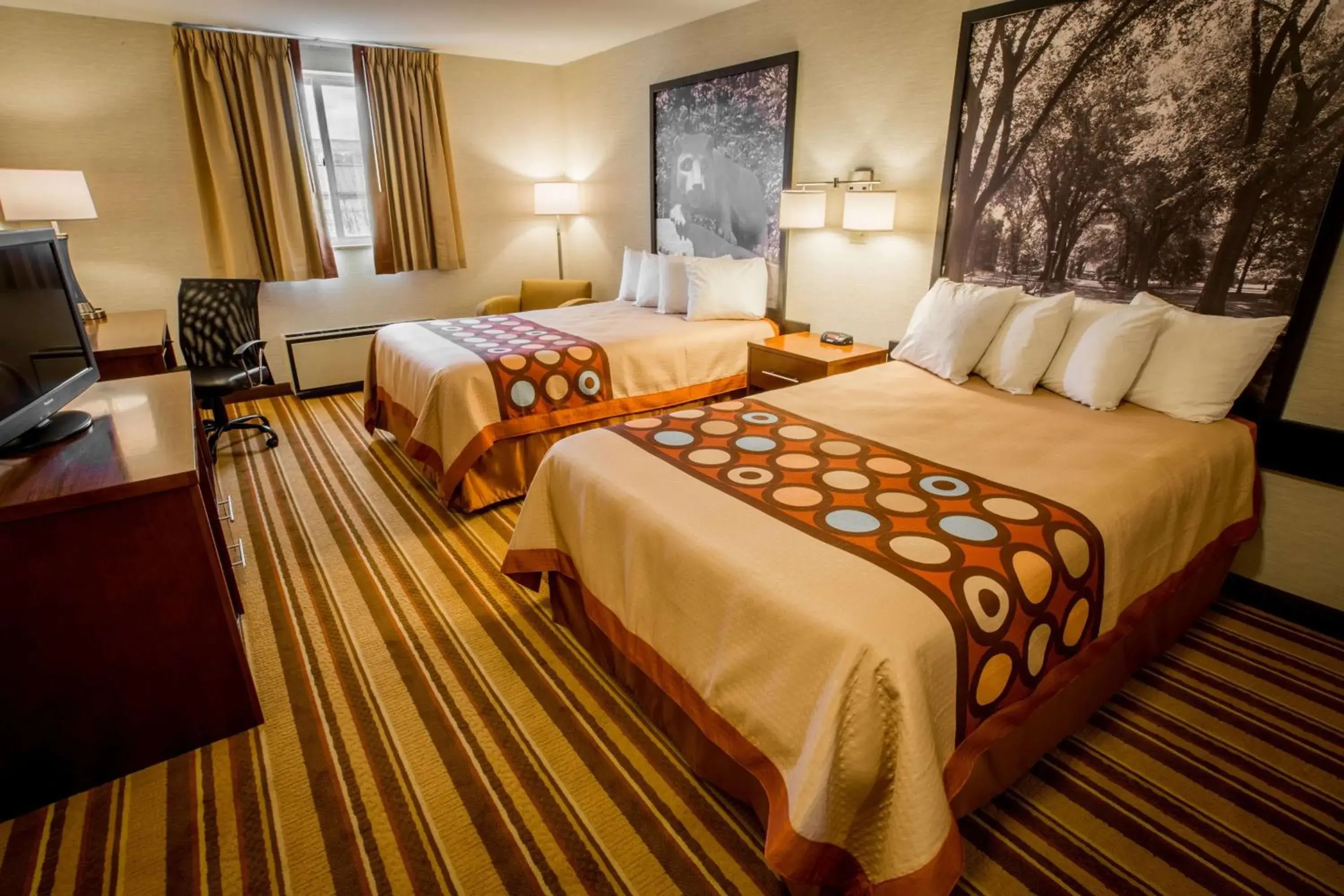 Photo of the whole room, Bed in Super 8 by Wyndham State College Photo of the whole room, Bed in Super 8 by Wyndham State College