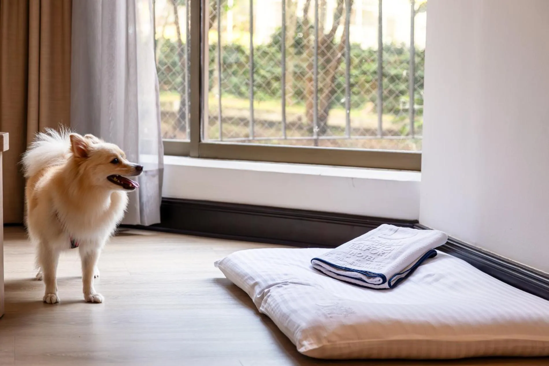 Hotel Dann Carlton Belfort Medellin