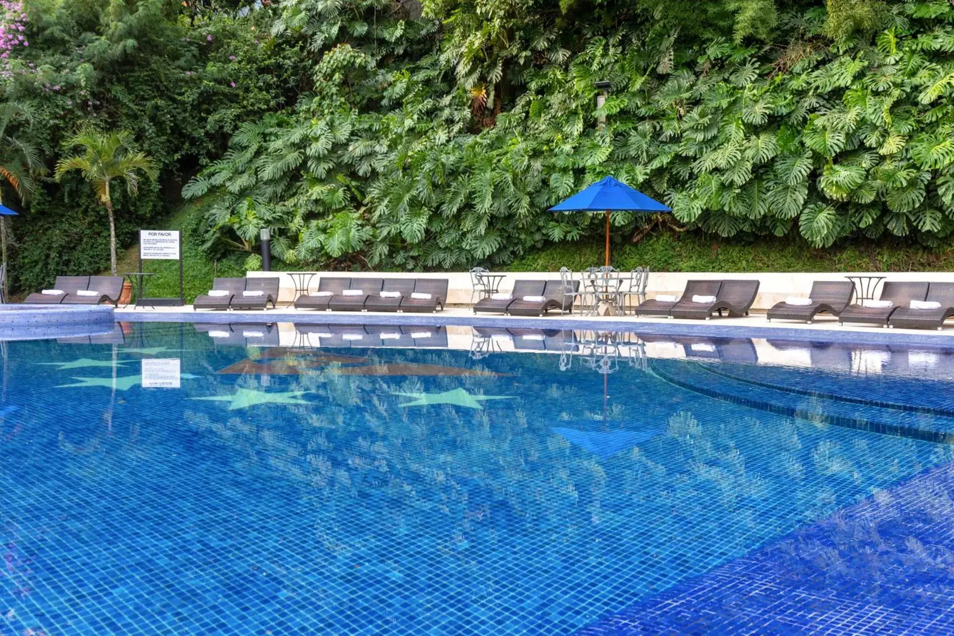 Swimming pool in Hotel Dann Carlton Belfort Medellin Swimming pool in Hotel Dann Carlton Belfort Medellin