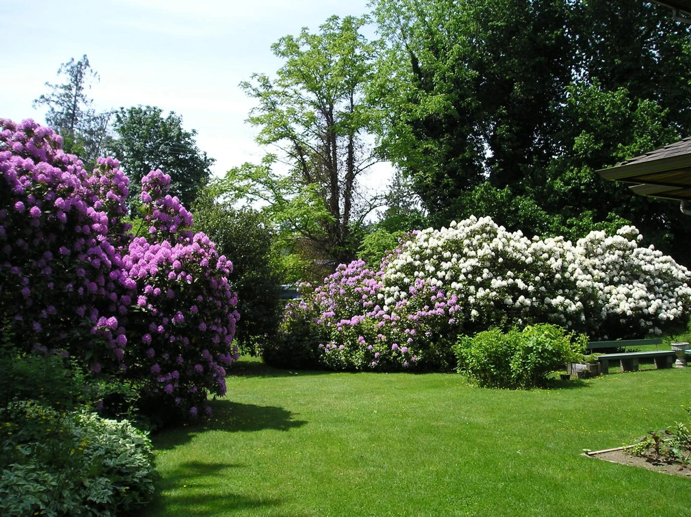 Garden in Cedar Wood Lodge Bed & Breakfast Inn