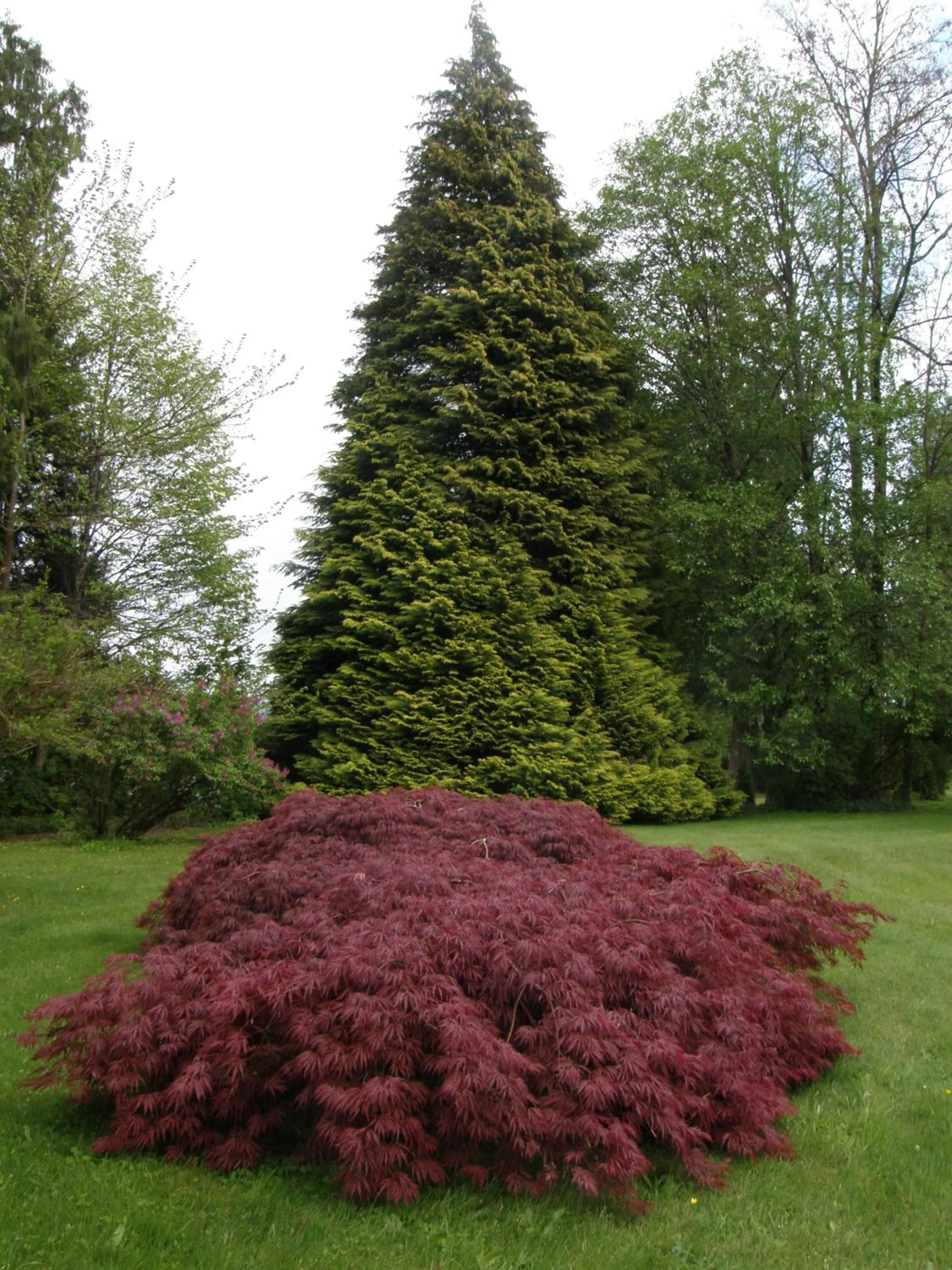 Garden in Cedar Wood Lodge Bed & Breakfast Inn