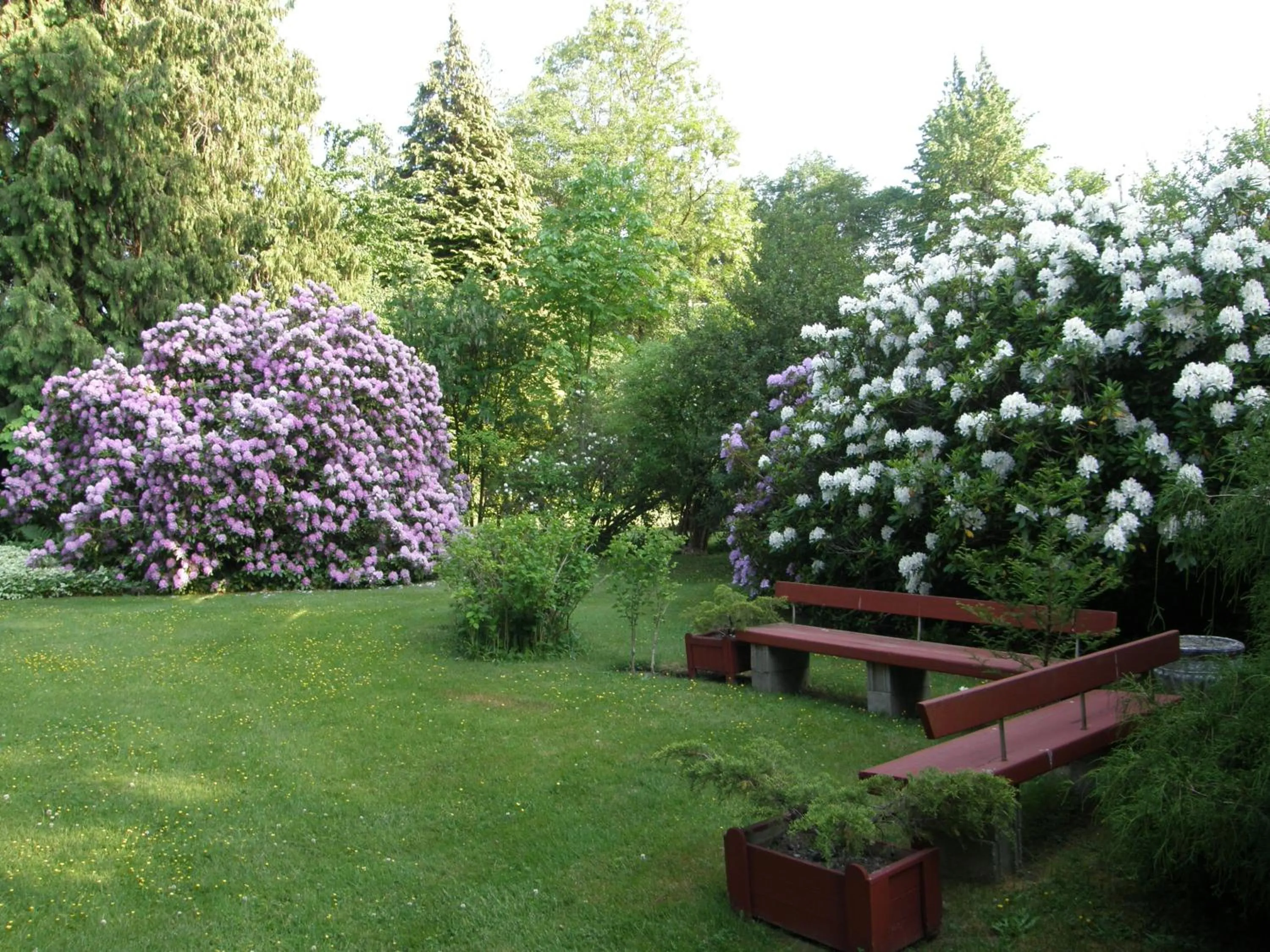 Garden in Cedar Wood Lodge Bed & Breakfast Inn