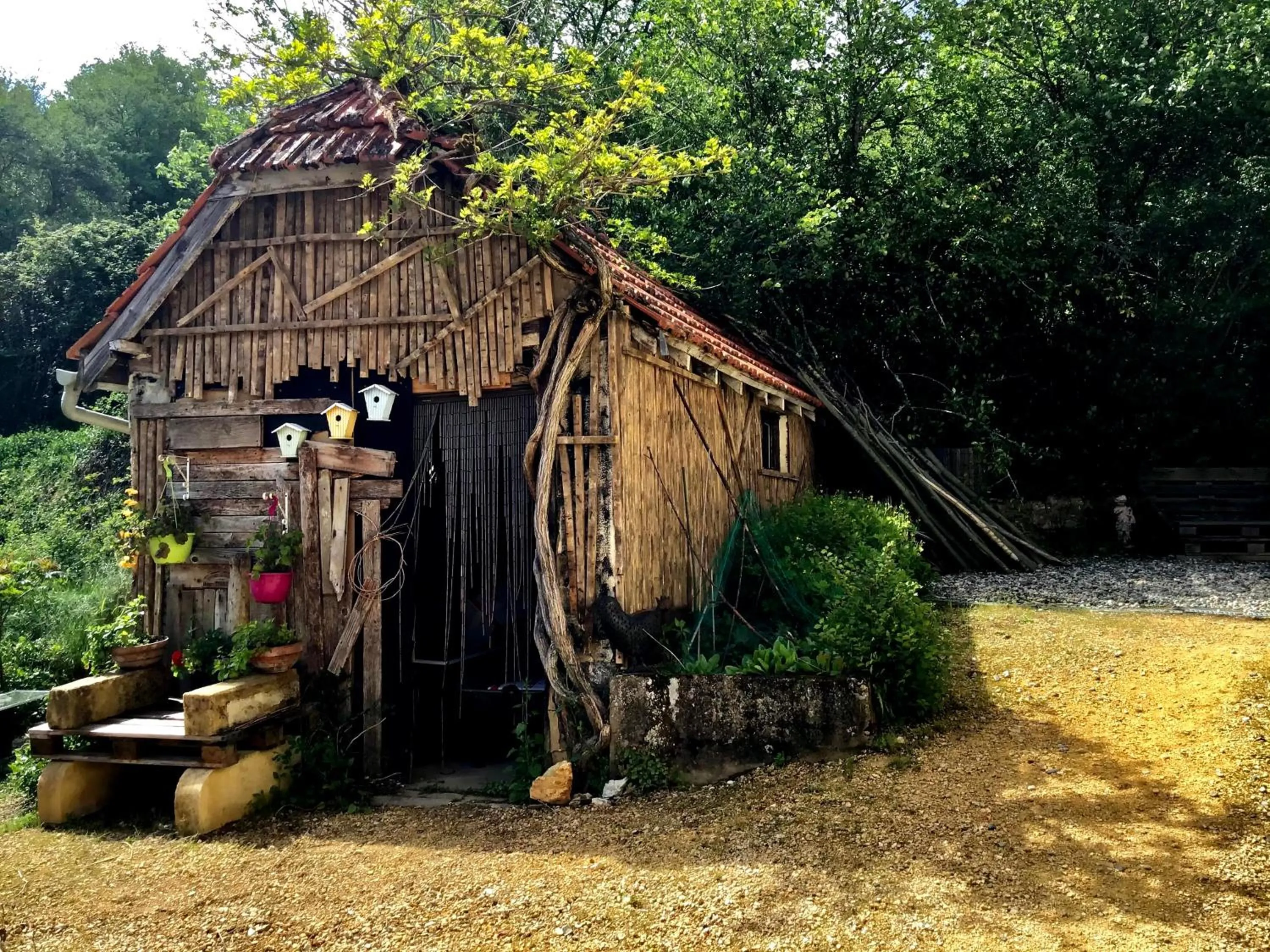 Garden in Villa Léovil