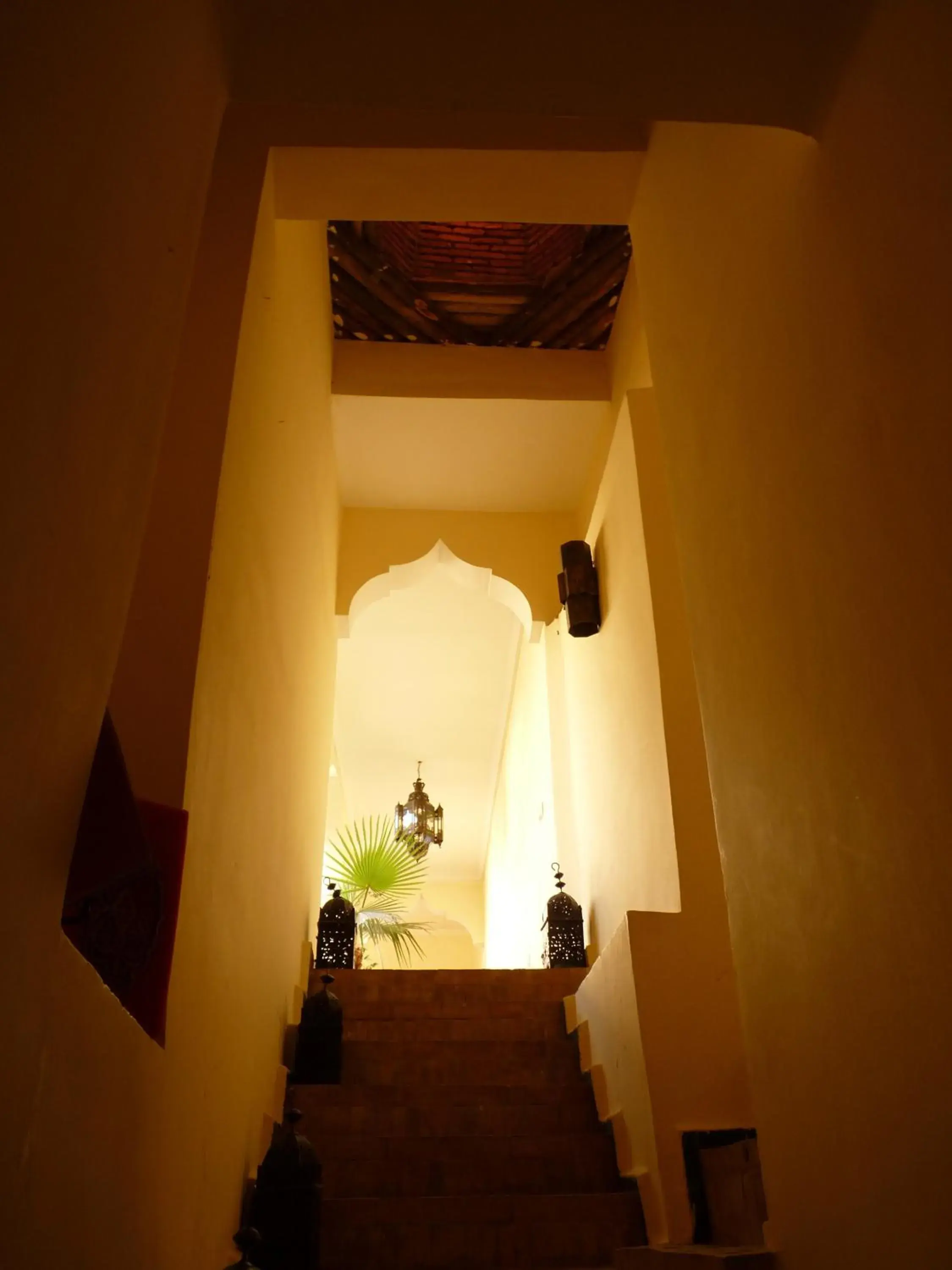 Other in Riad Amira