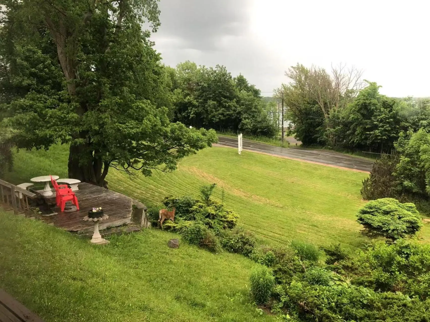 Garden view in Braeside Country Inn