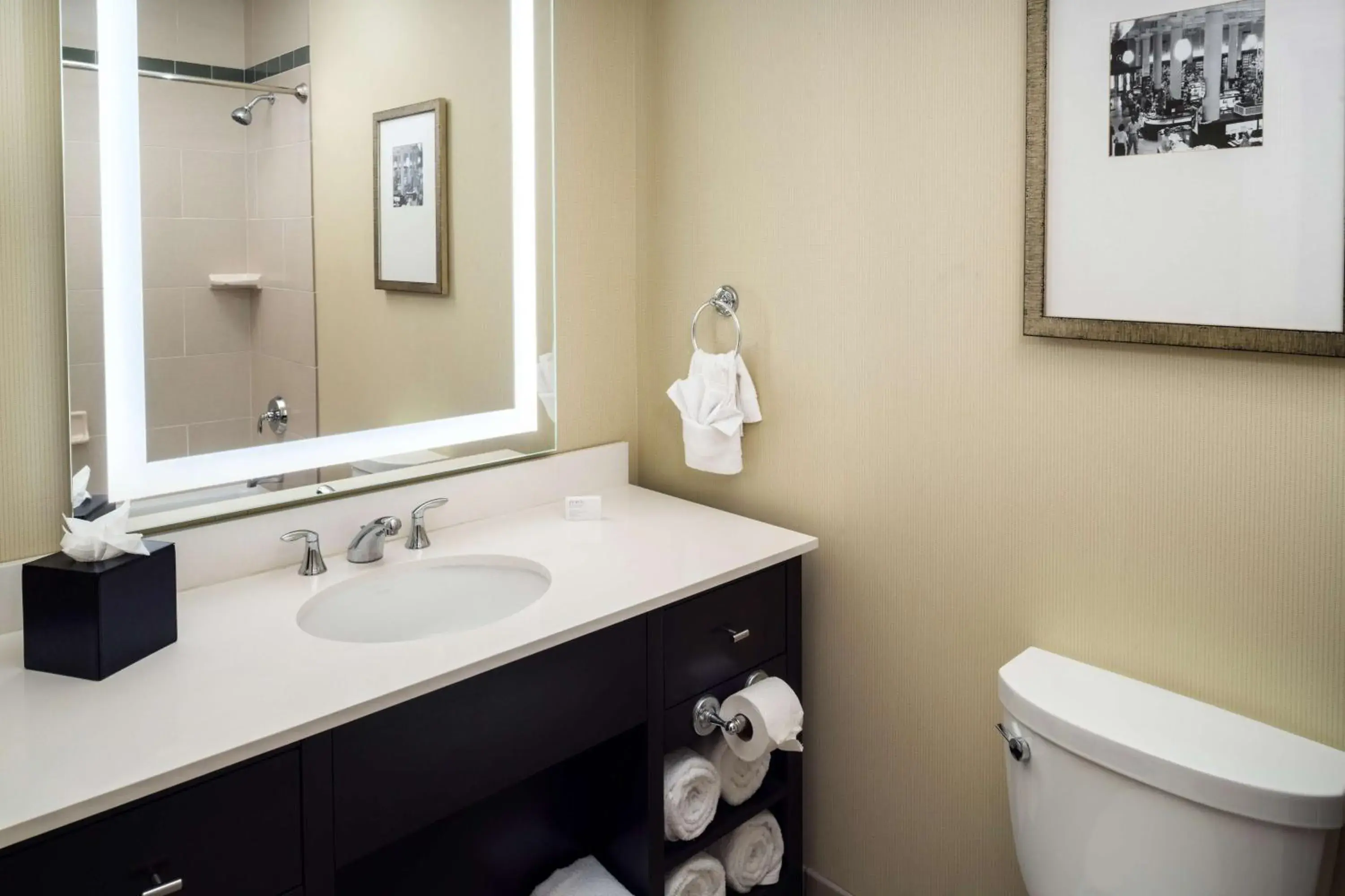 Bathroom in Embassy Suites Saint Louis - Downtown Bathroom in Embassy Suites Saint Louis - Downtown