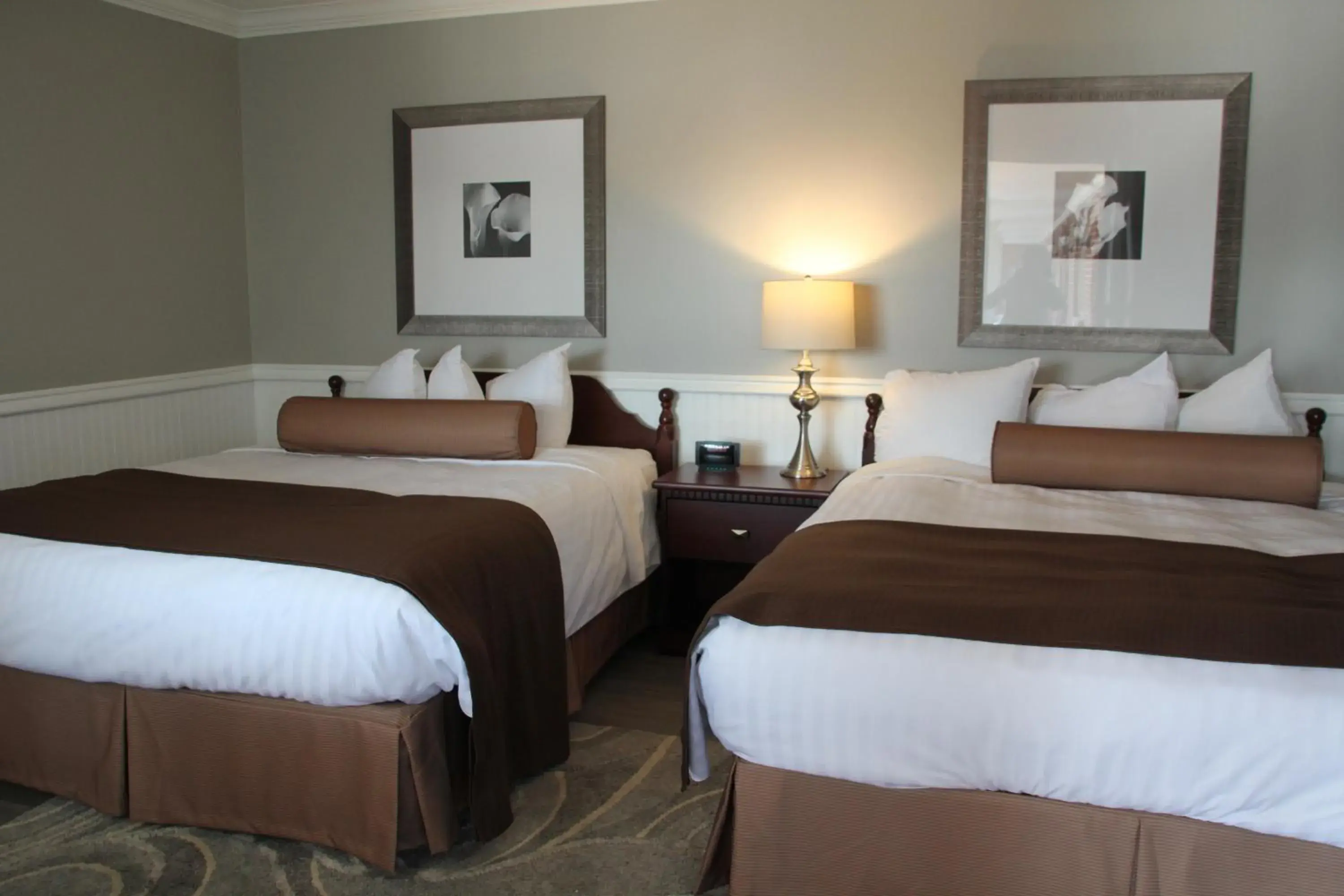 Double Room with Two Double Beds in Willow Bend Motel Double Room with Two Double Beds in Willow Bend Motel
