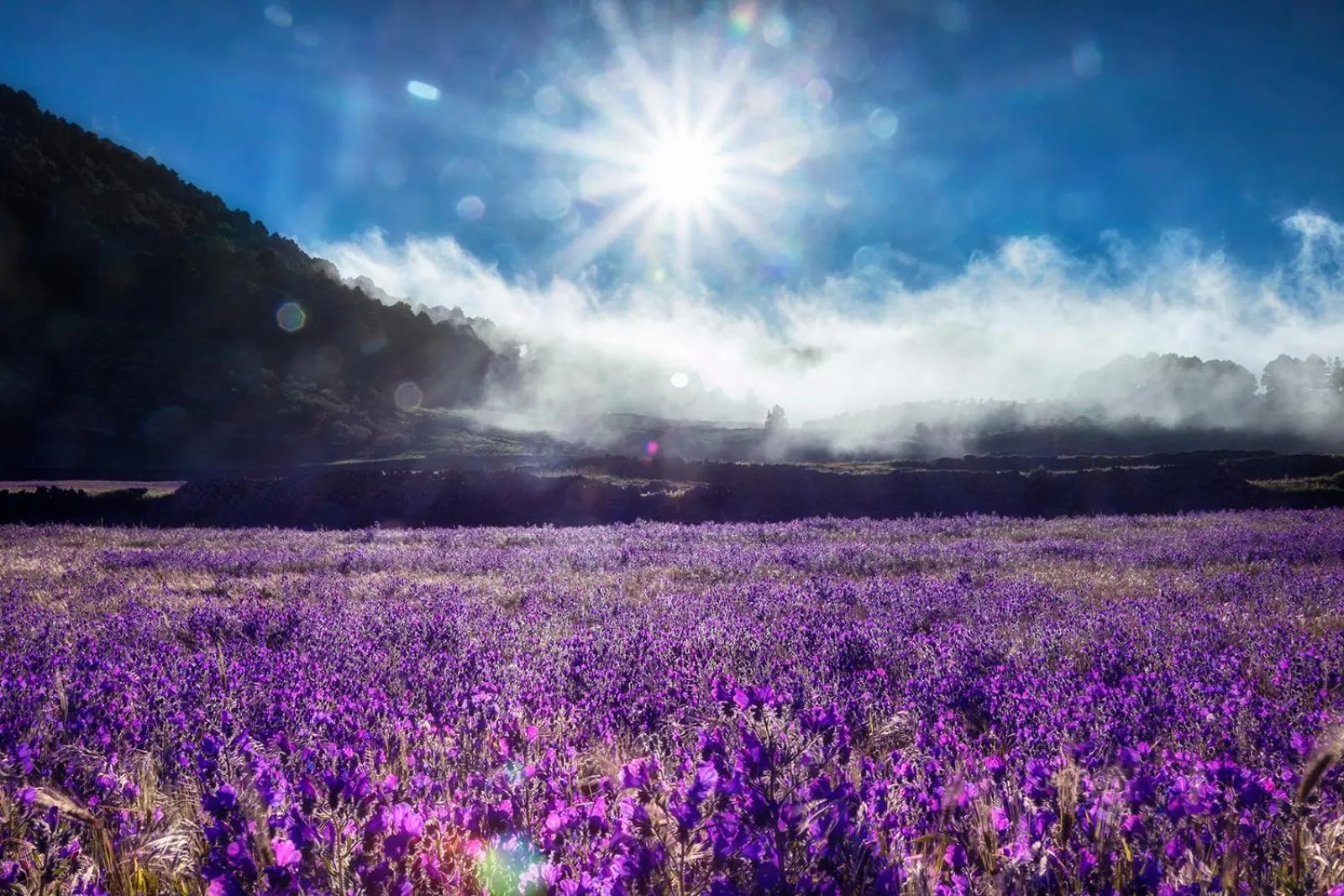 Natural landscape in Hotel Puntagrande