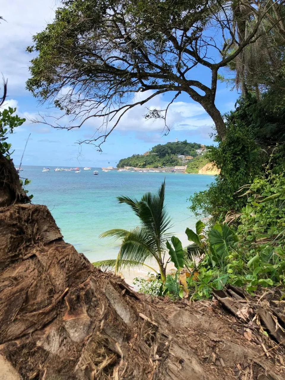 Natural landscape in Pousada E Restaurante Passart