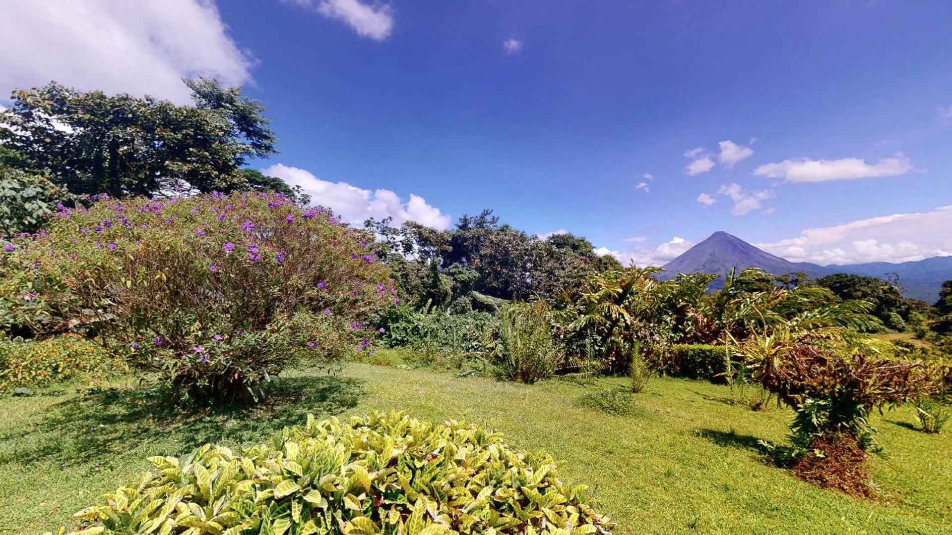 Natural landscape in Hotel Arenal Lodge