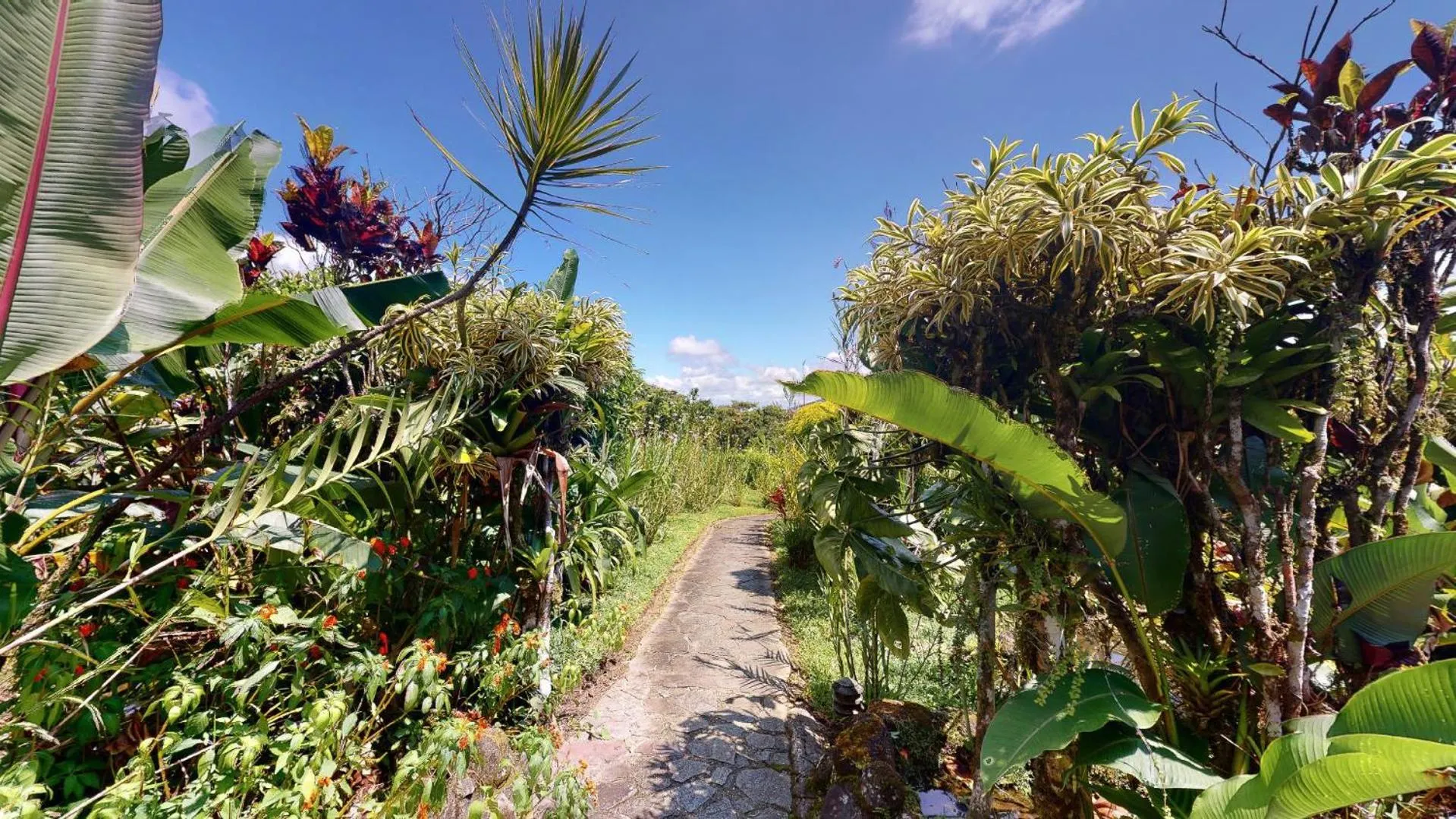 Natural landscape in Hotel Arenal Lodge