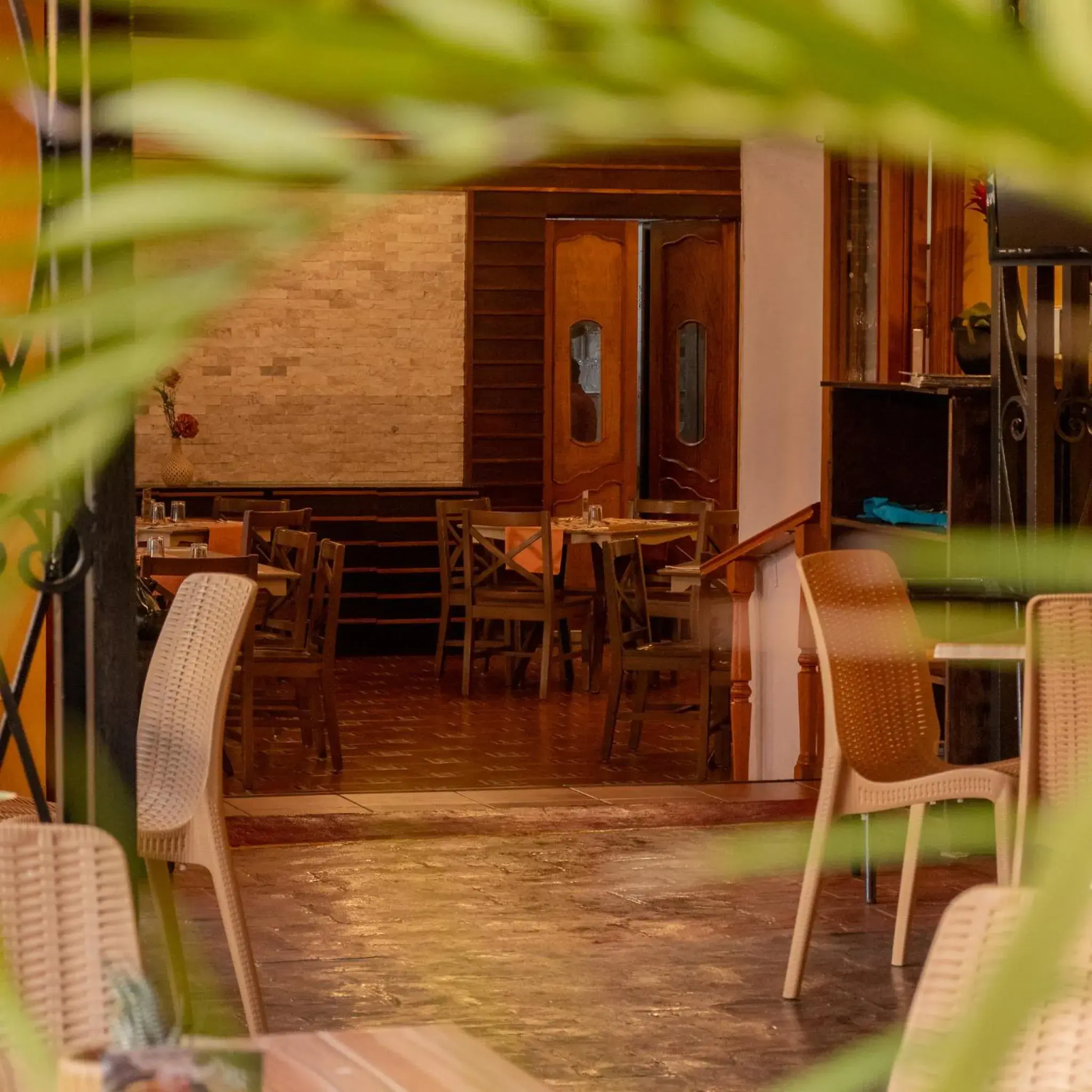 Restaurant/places to eat in Hotel Oaxaca Real Restaurant/places to eat in Hotel Oaxaca Real