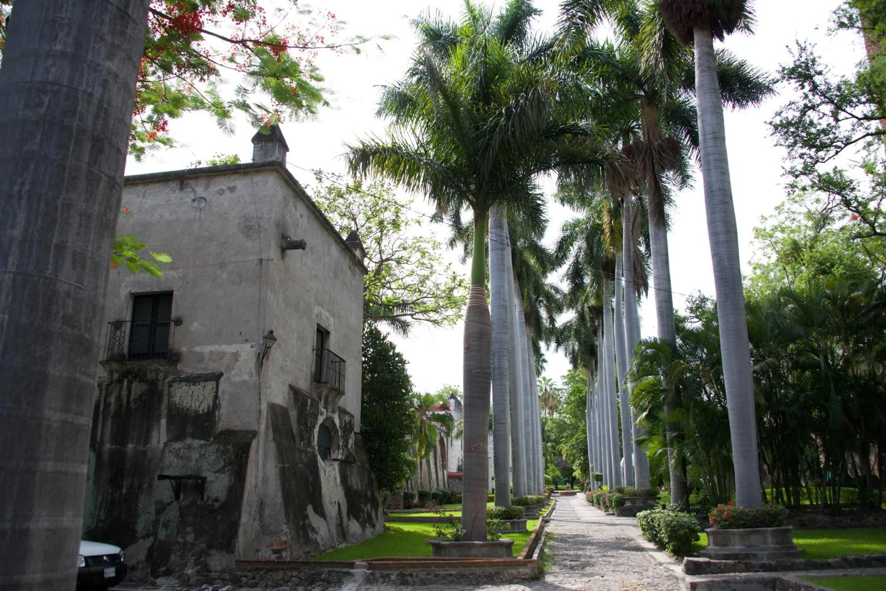 Garden in Hotel Hacienda Vista Hermosa