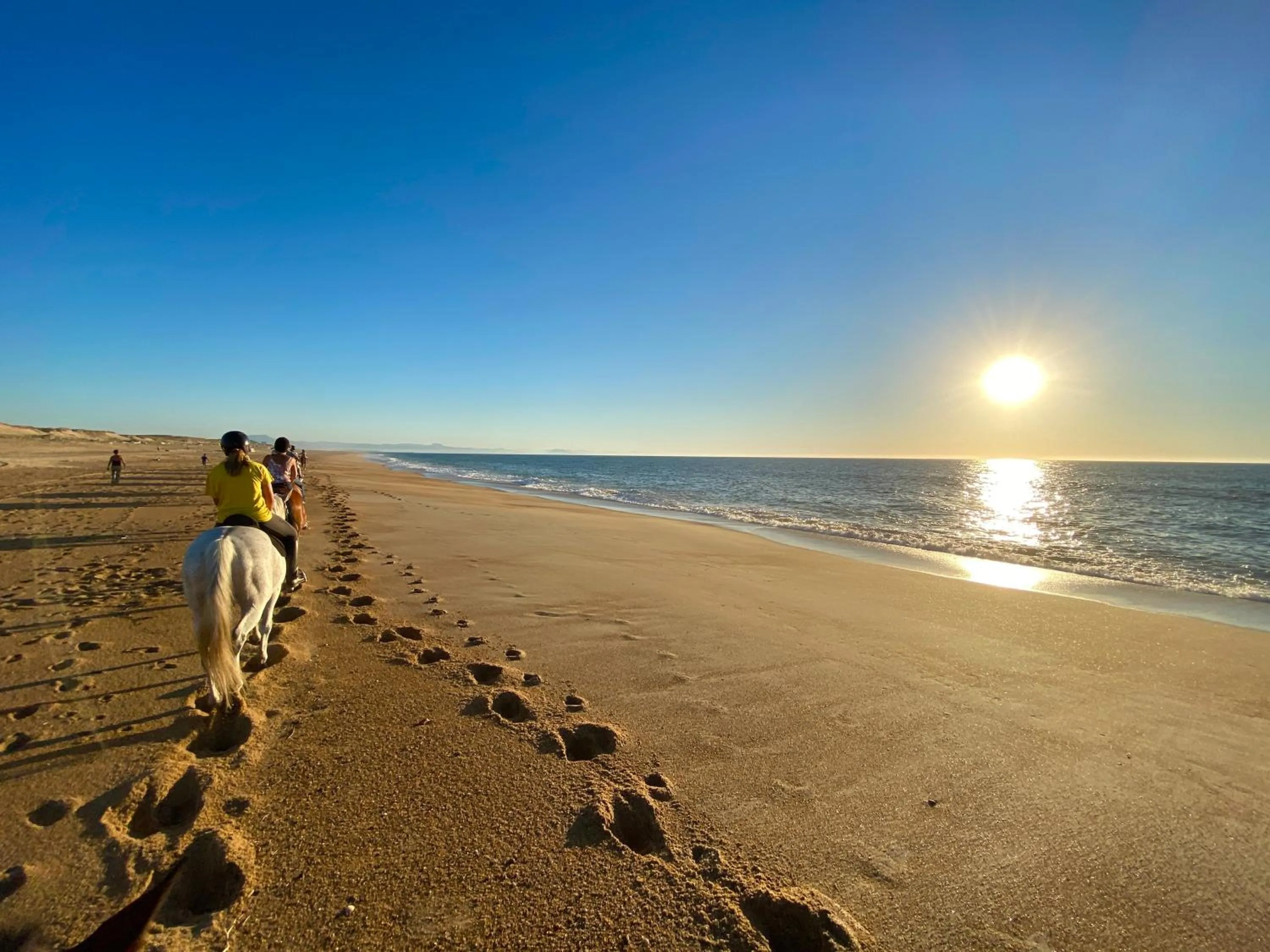 Natural landscape in Espace Blue Océan